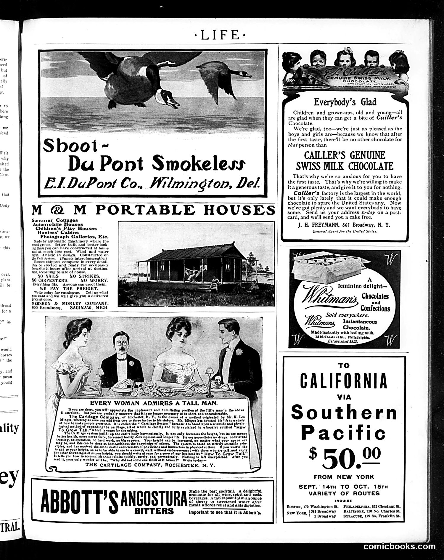 Life — October 13, 1904 — page 17 of 22