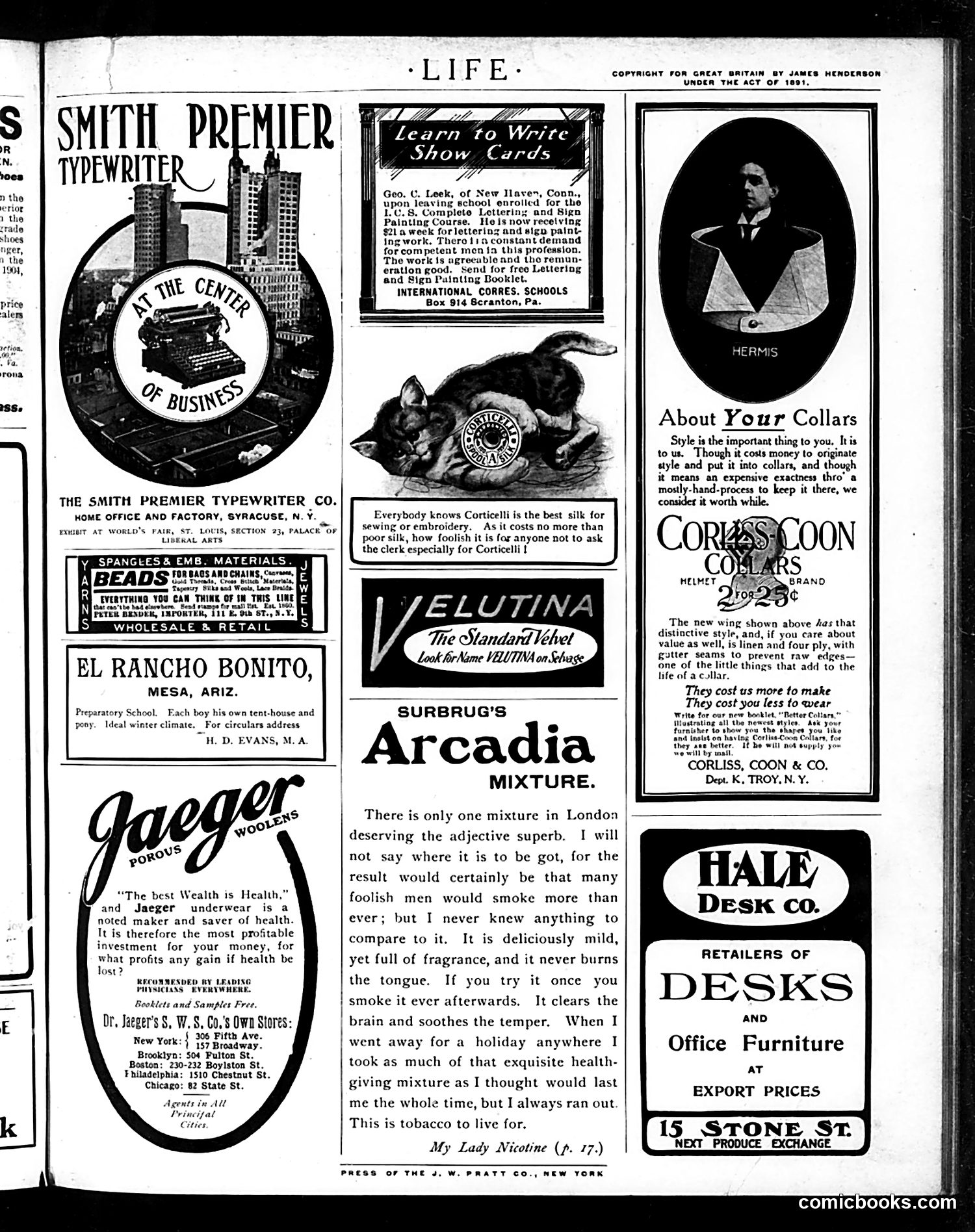 Life — October 20, 1904 — page 19 of 20