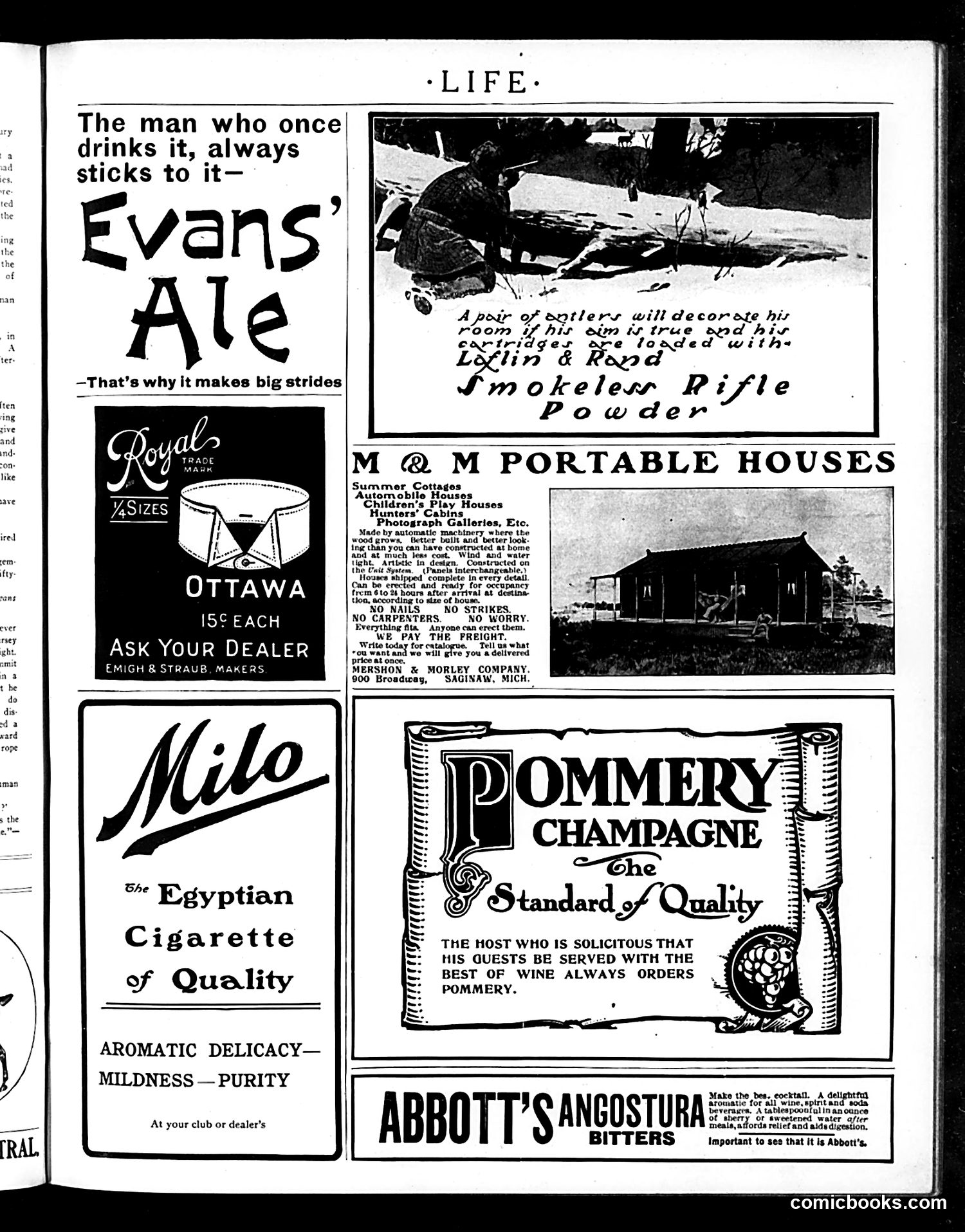 Life — October 27, 1904 — page 17 of 20