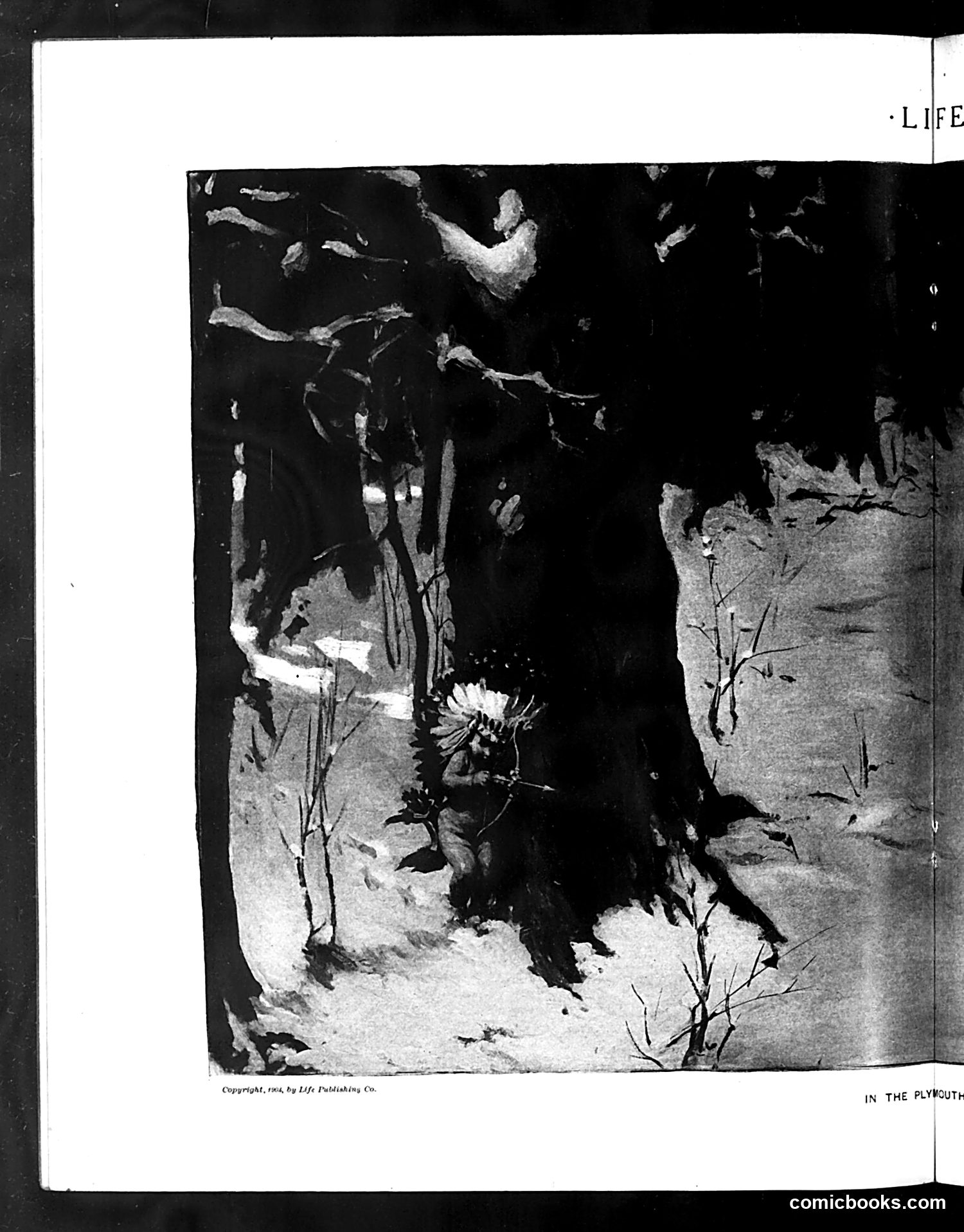 Life — November 3, 1904 — page 20 of 40