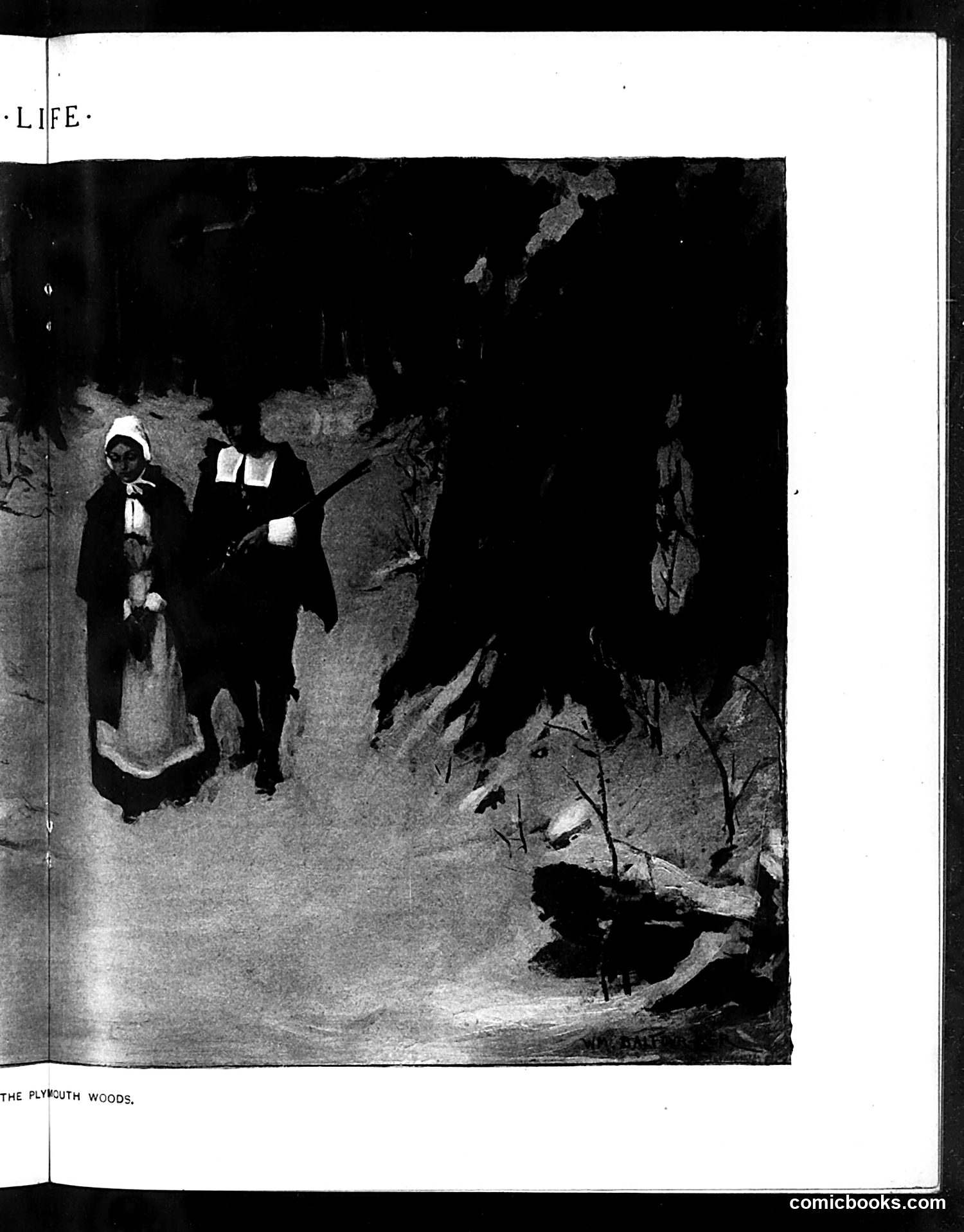 Life — November 3, 1904 — page 21 of 40