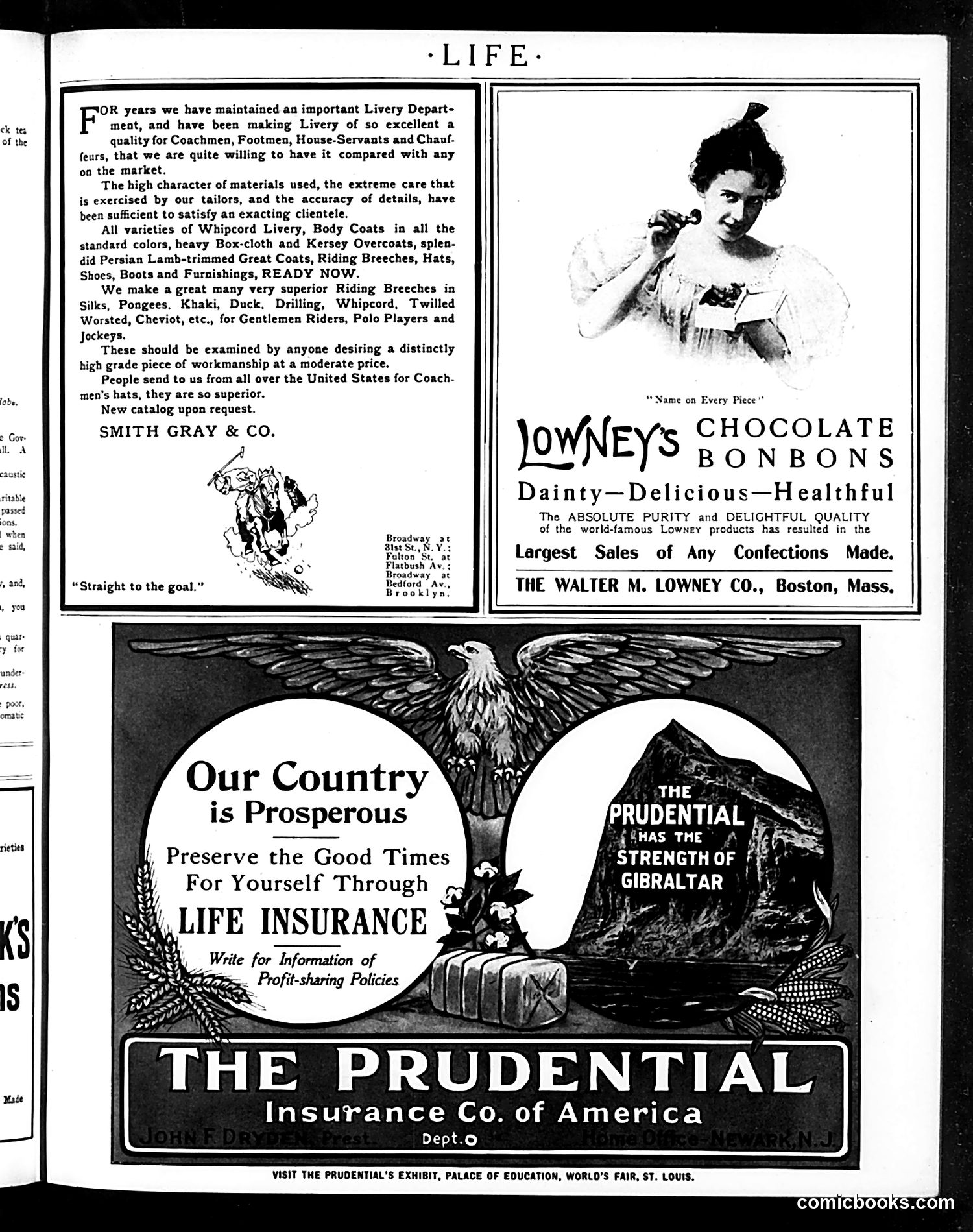 Life — November 3, 1904 — page 31 of 40