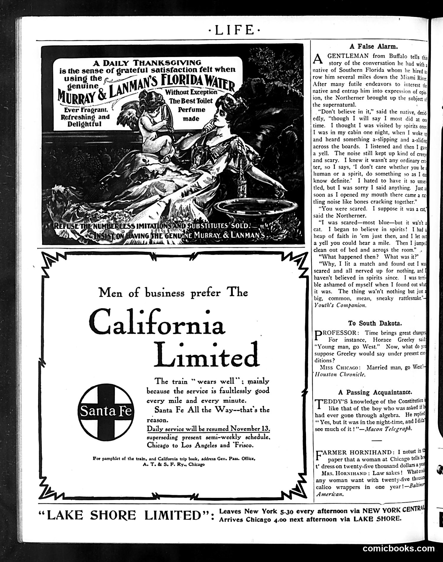 Life — November 3, 1904 — page 36 of 40
