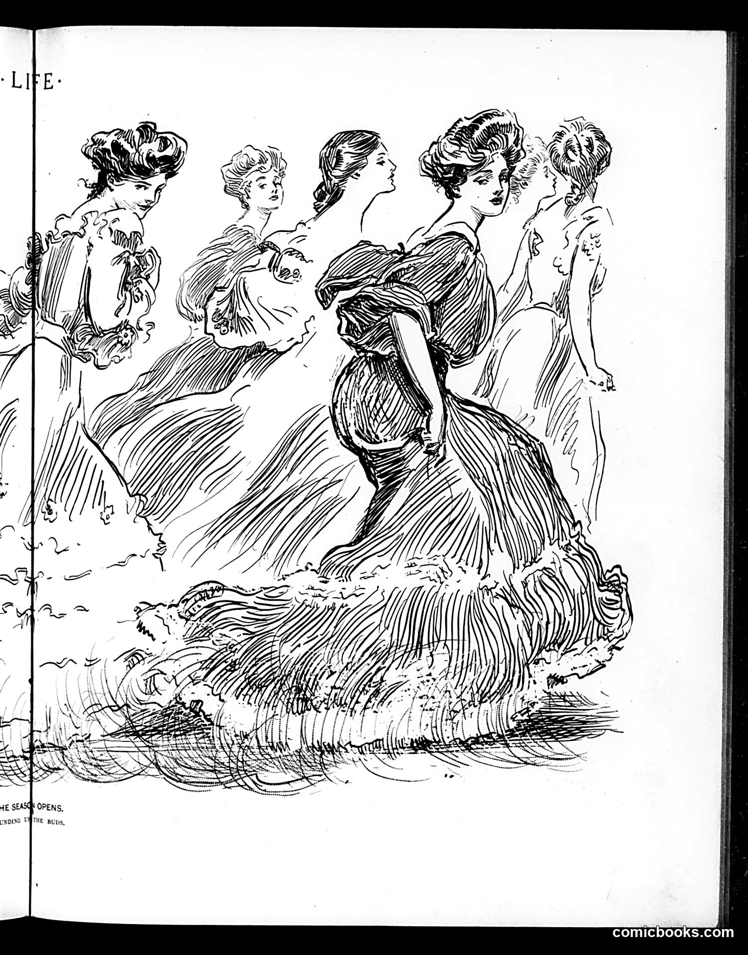 Life — November 10, 1904 — page 11 of 20