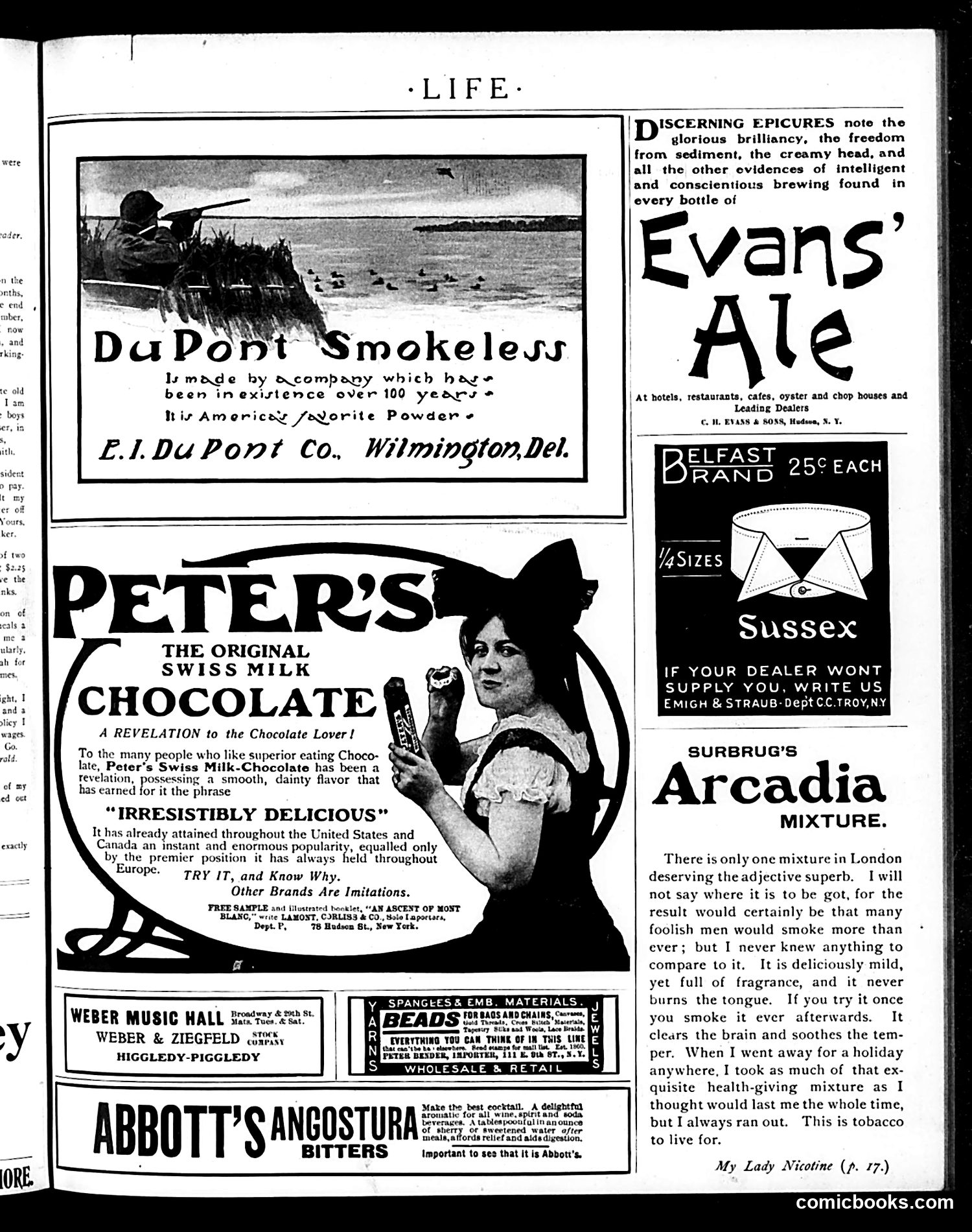 Life — November 10, 1904 — page 17 of 20