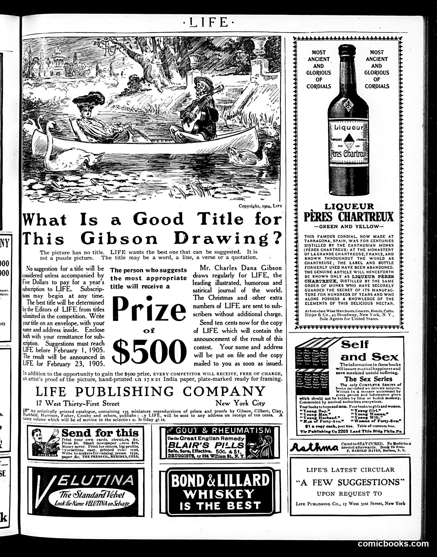 Life — November 10, 1904 — page 19 of 20
