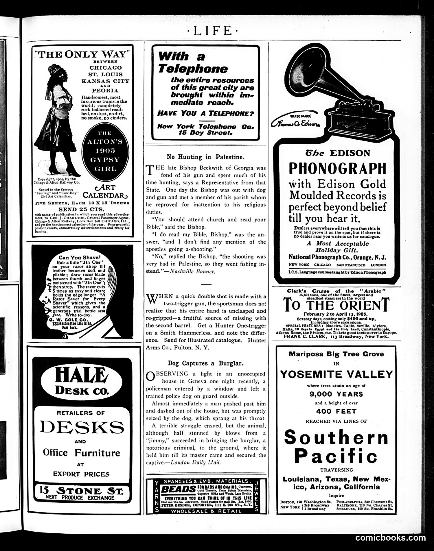 Life — November 17, 1904 — page 3 of 24