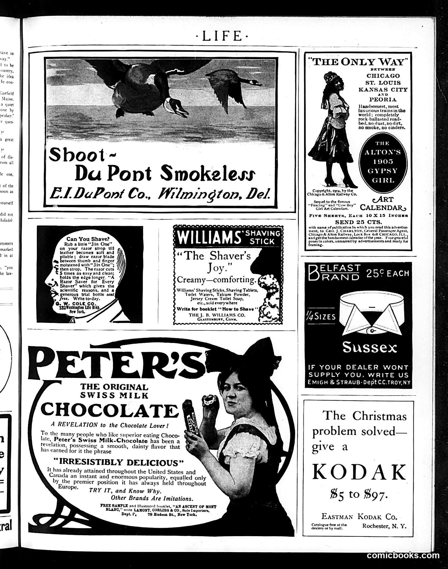 Life — November 24, 1904 — page 17 of 22
