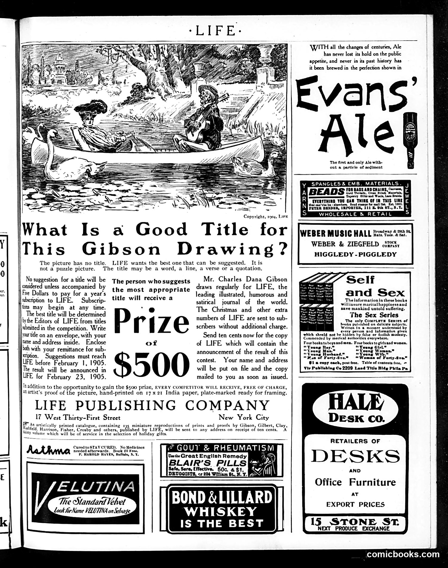 Life — November 24, 1904 — page 19 of 22