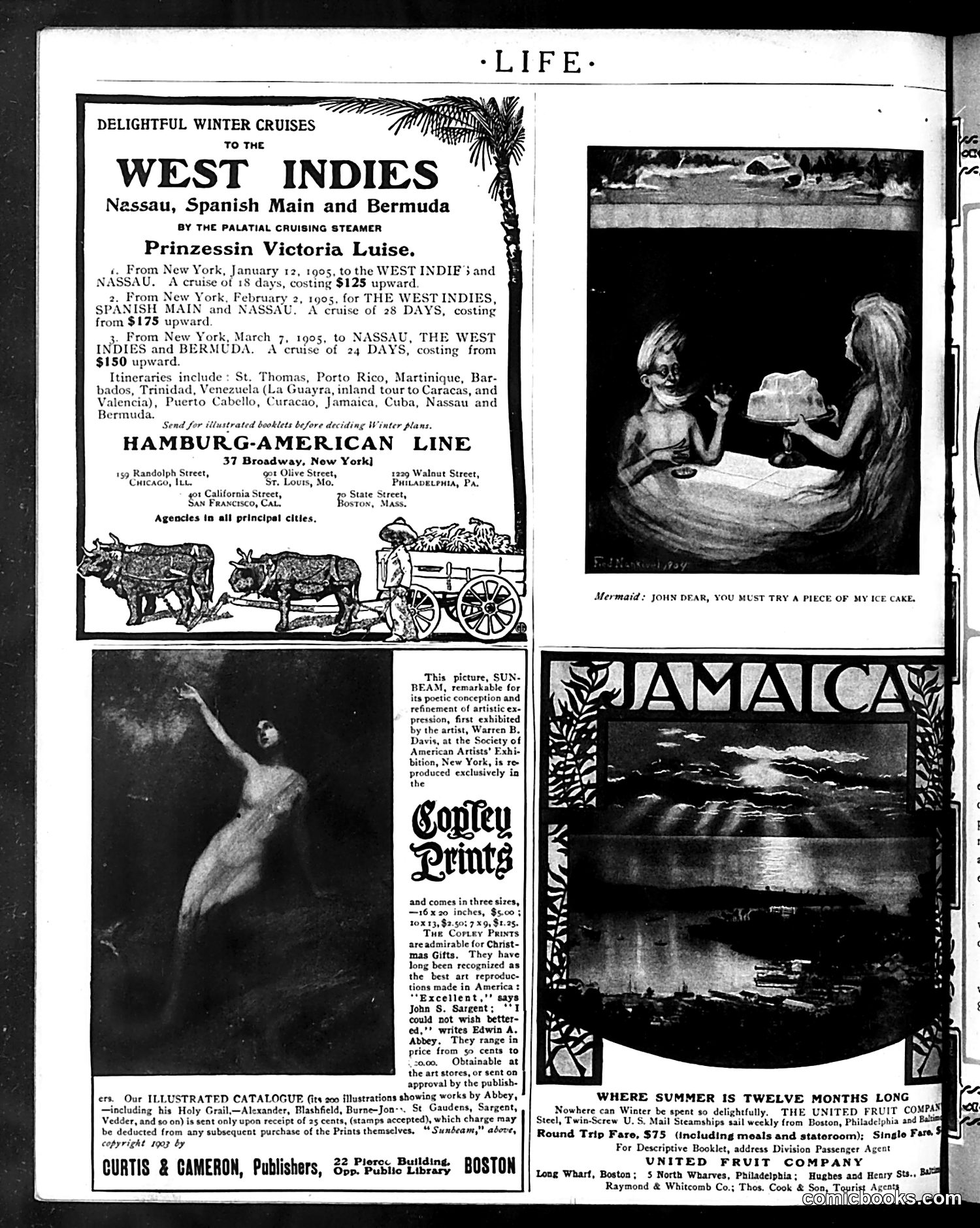 Life — December 1, 1904 — page 6 of 64