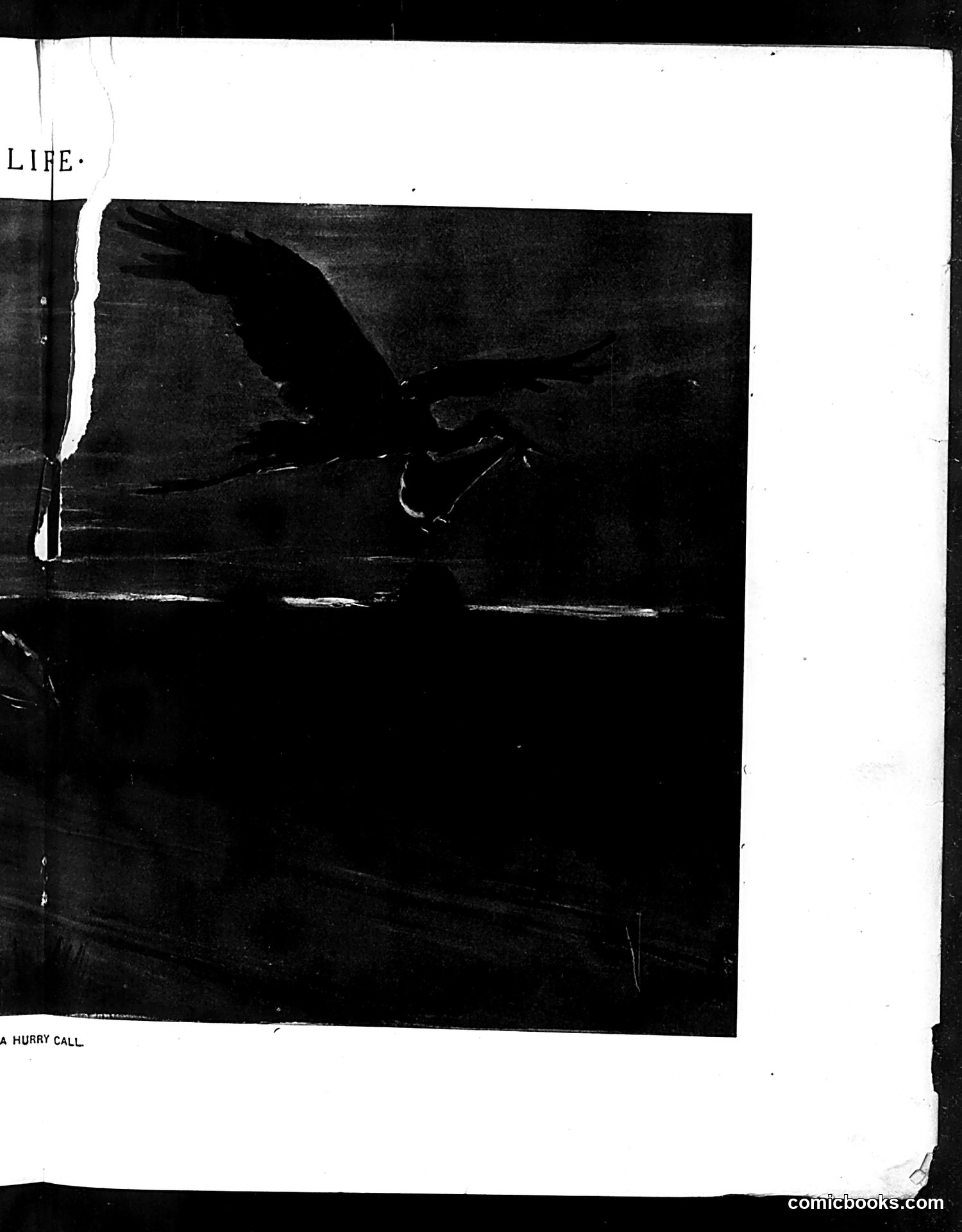 Life — December 3, 1904 — page 11 of 22