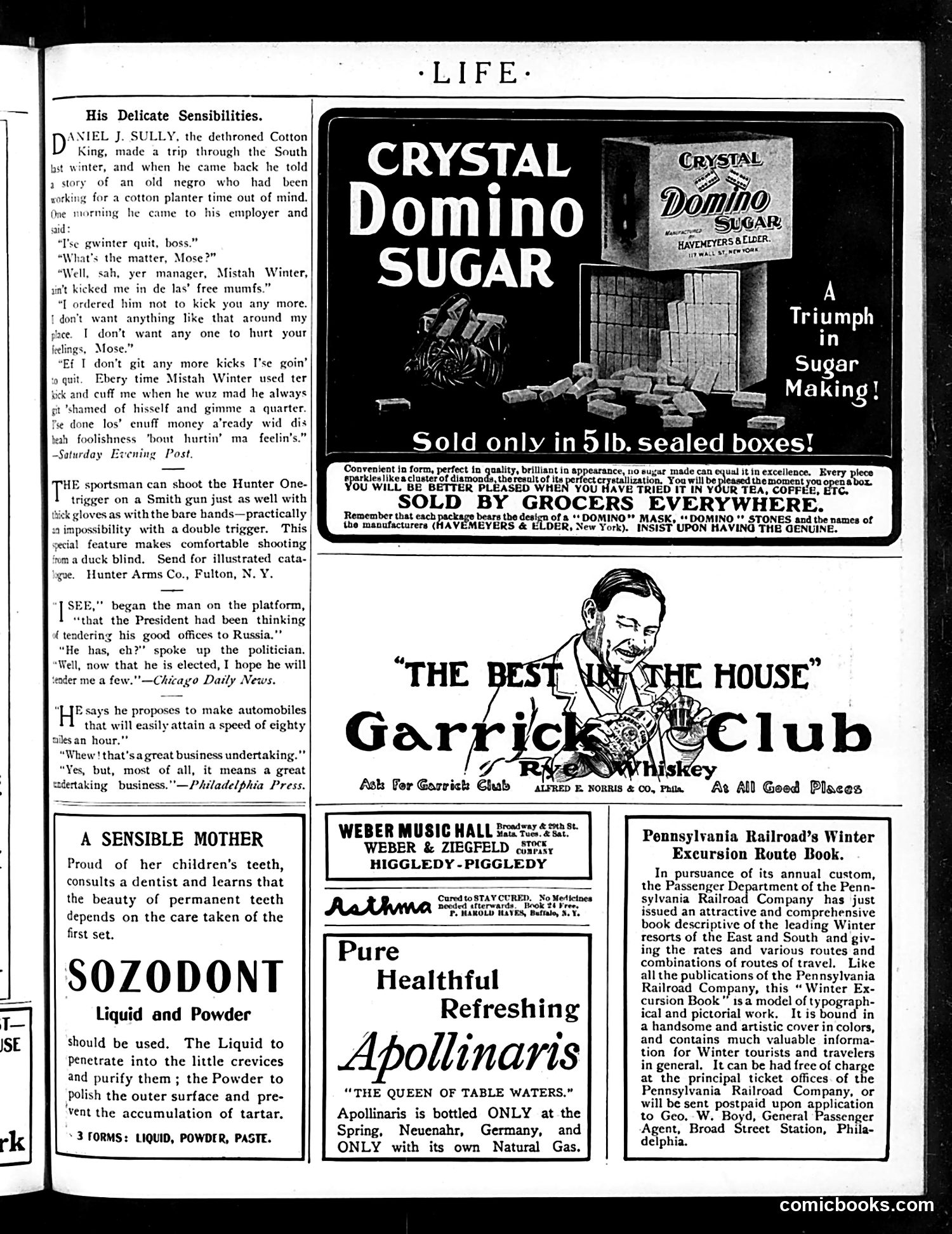 Life — December 3, 1904 — page 19 of 22