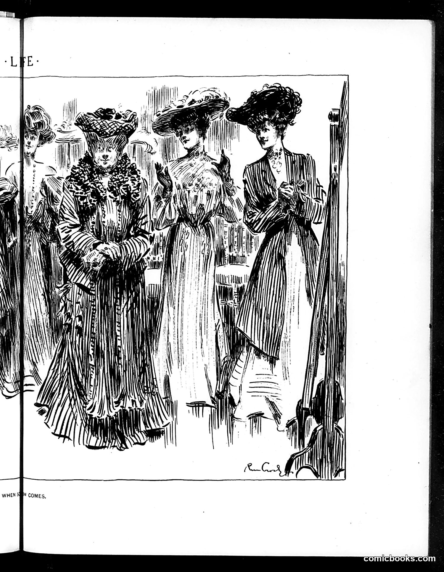Life — December 8, 1904 — page 13 of 24