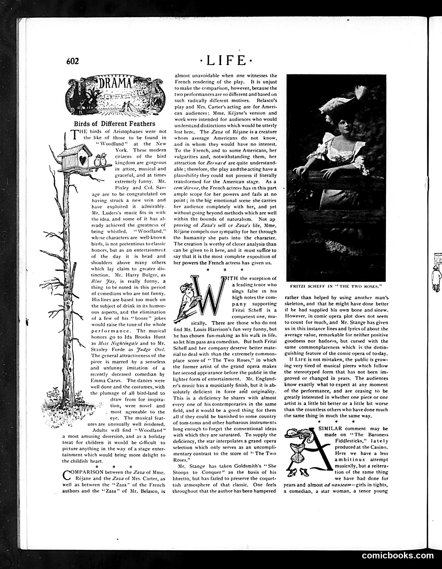 Life — December 8, 1904 — page 14 of 24