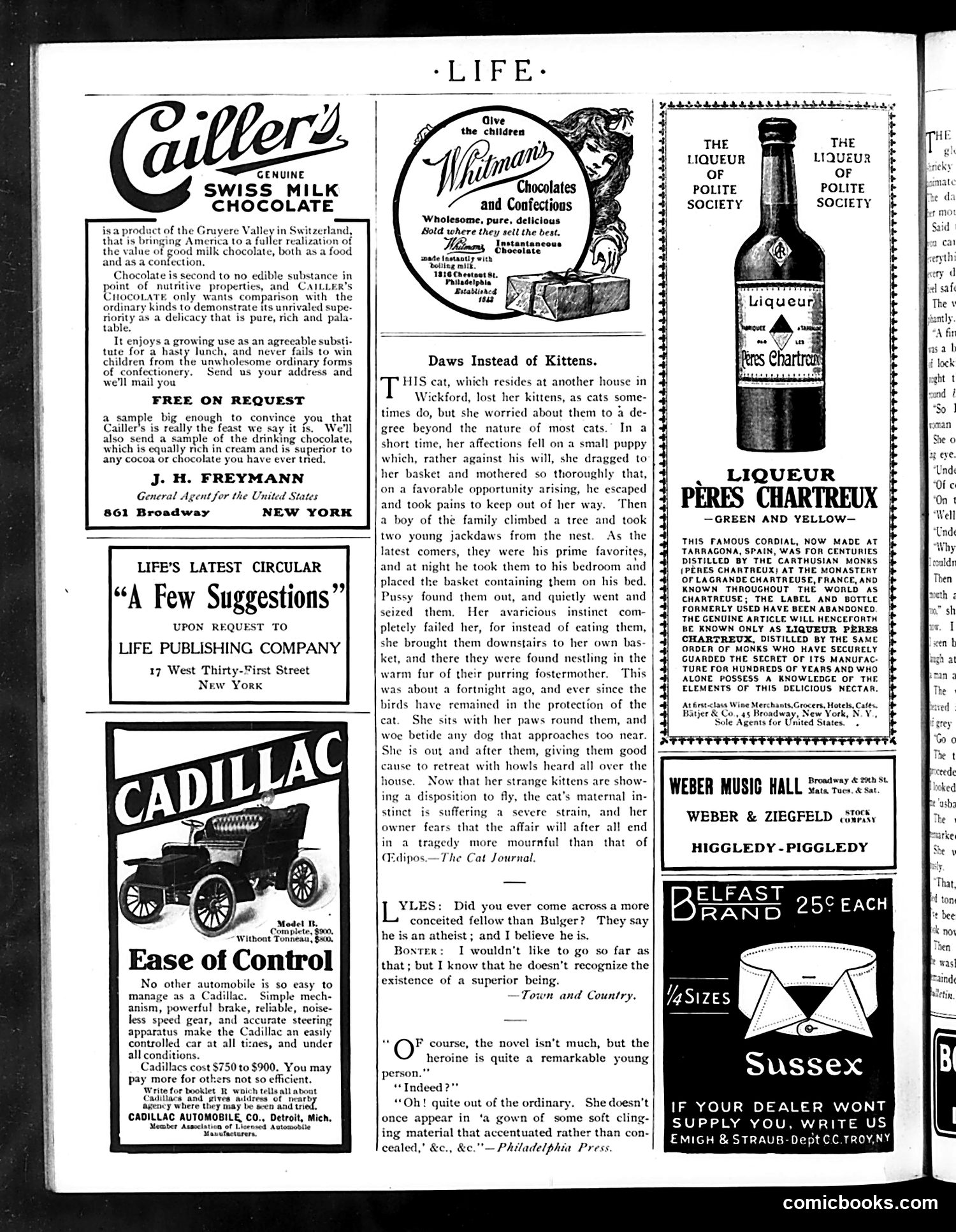 Life — December 8, 1904 — page 22 of 24