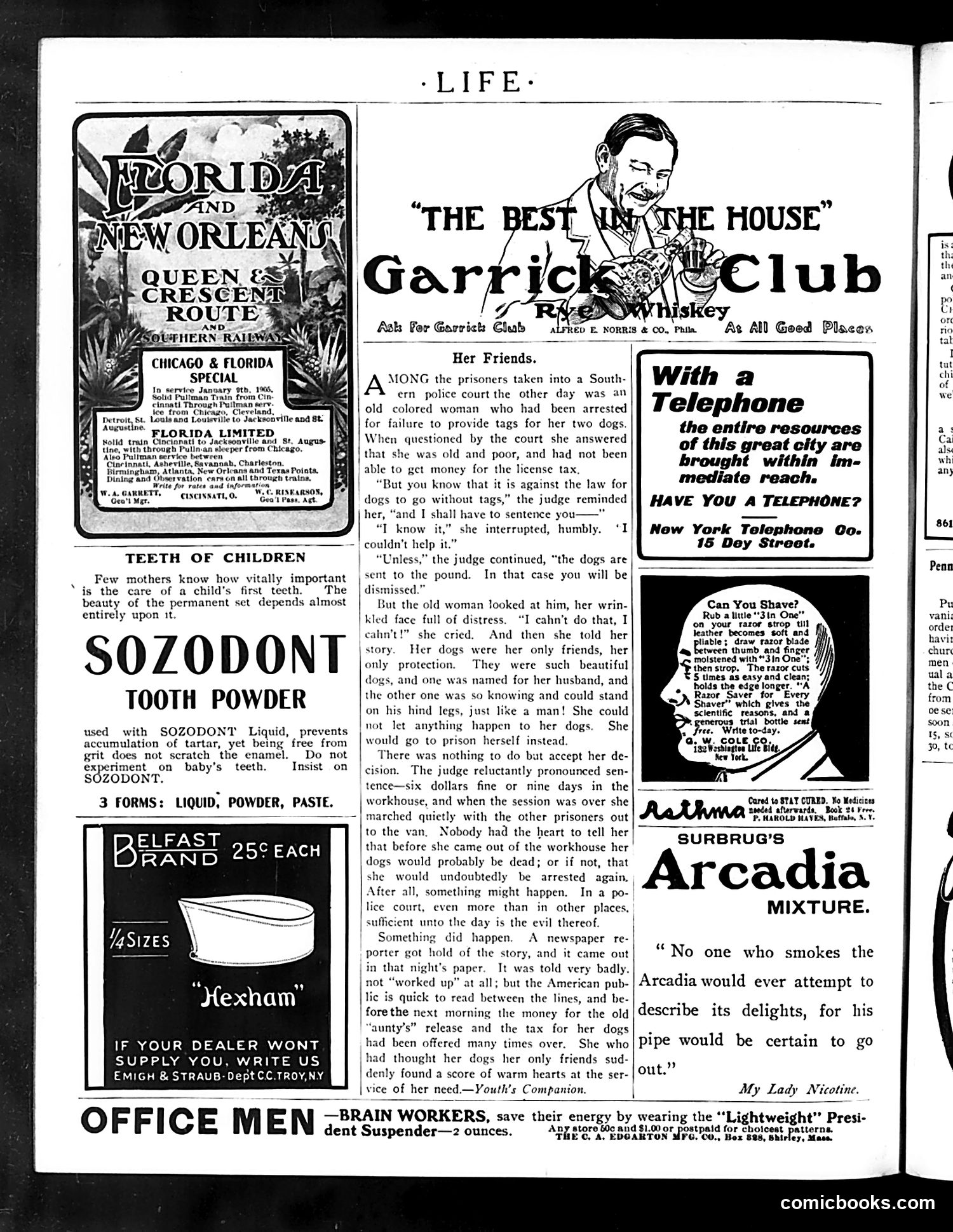 Life — December 15, 1904 — page 20 of 44