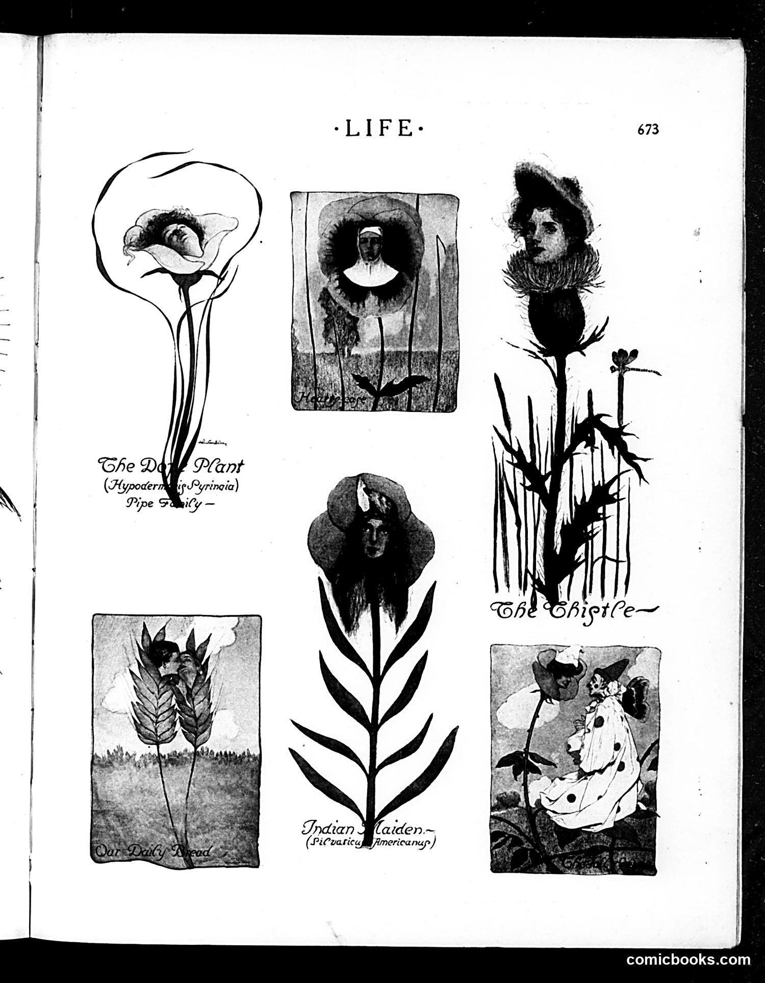 Life — December 29, 1904 — page 15 of 21