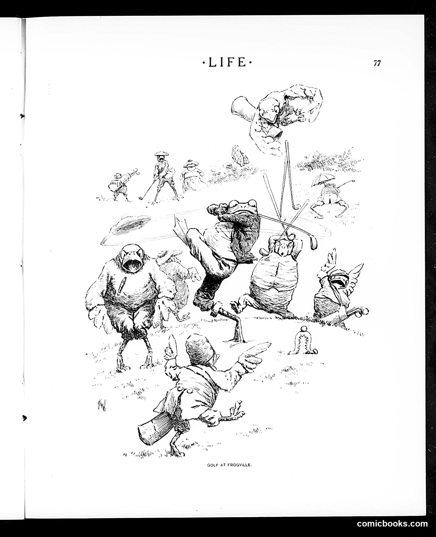 Life — January 19, 1905 — page 23 of 38