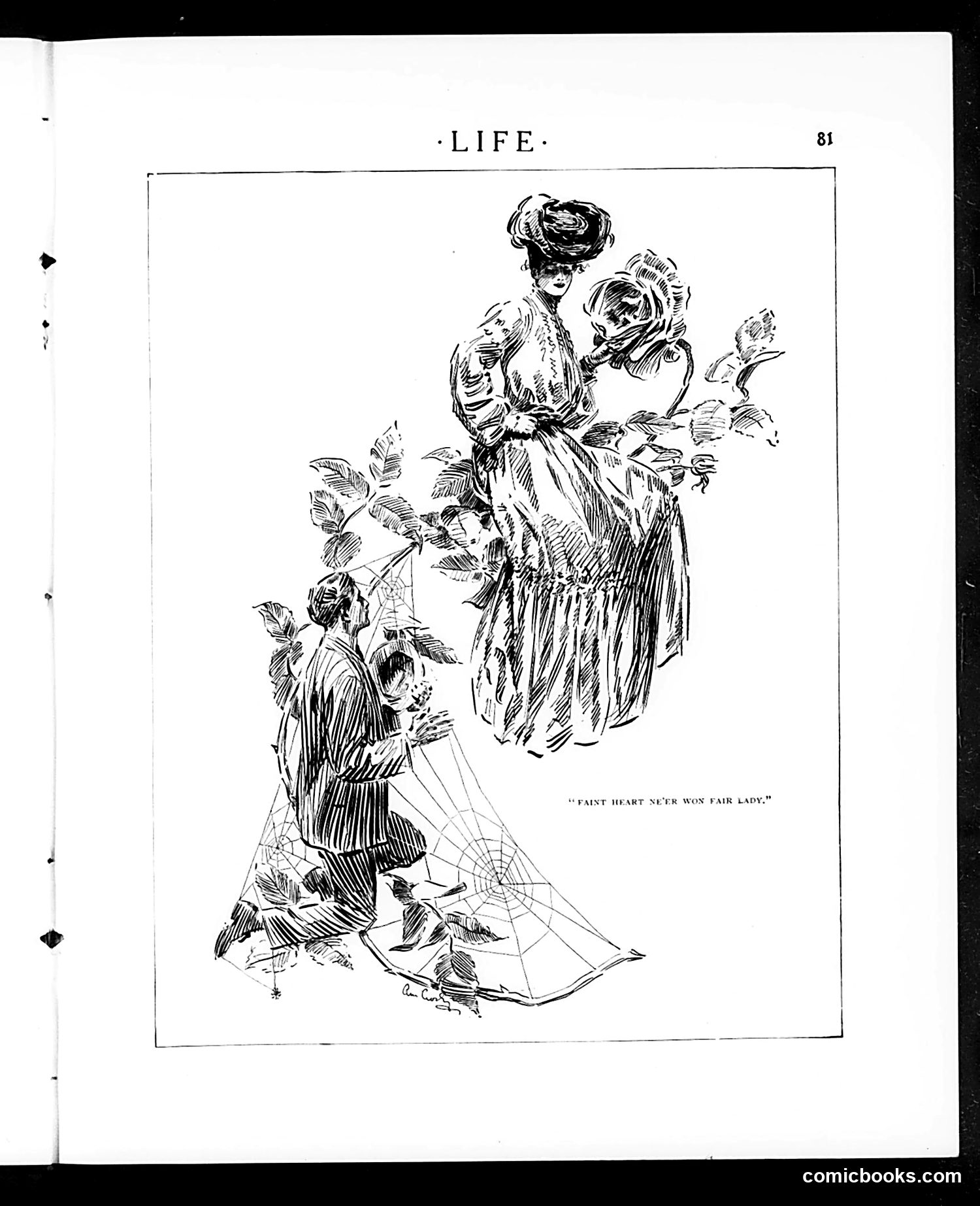 Life — January 19, 1905 — page 27 of 38