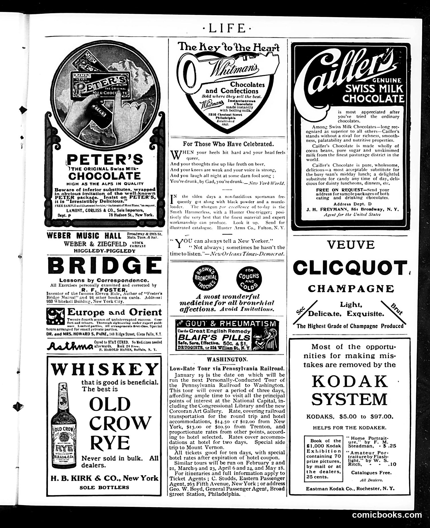 Life — January 19, 1905 — page 31 of 38