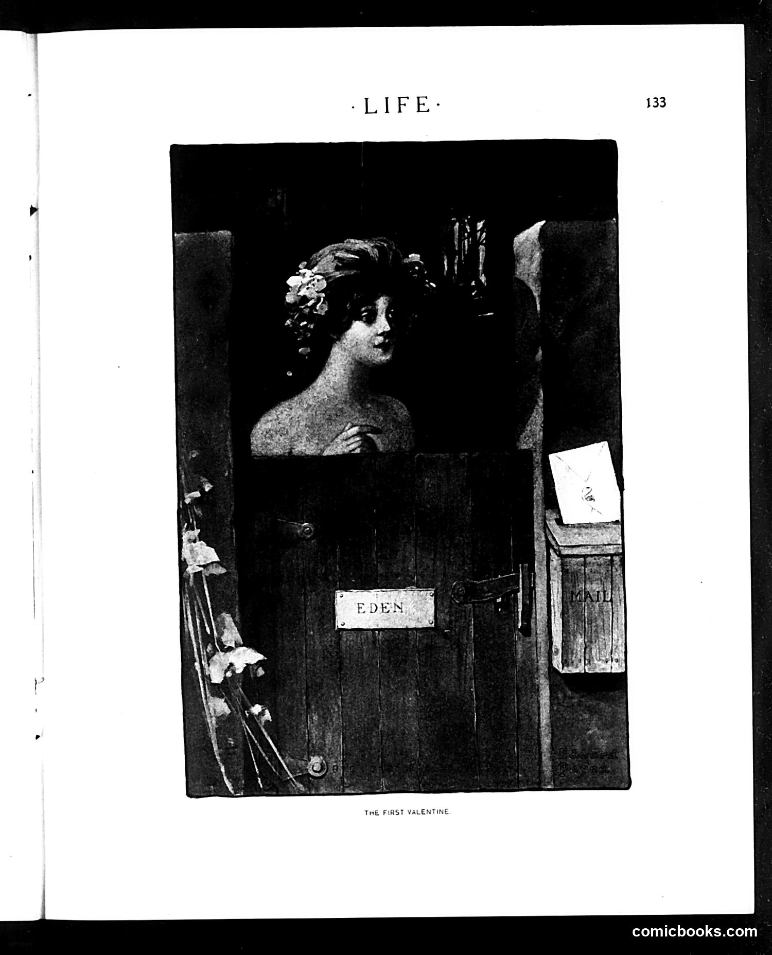 Life — February 2, 1905 — page 19 of 40