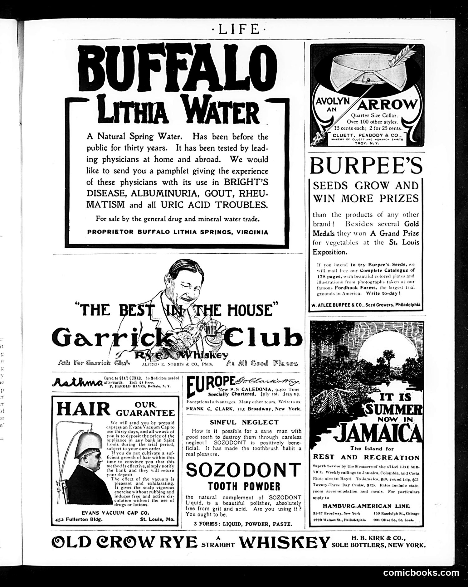 Life — February 23, 1905 — page 19 of 22