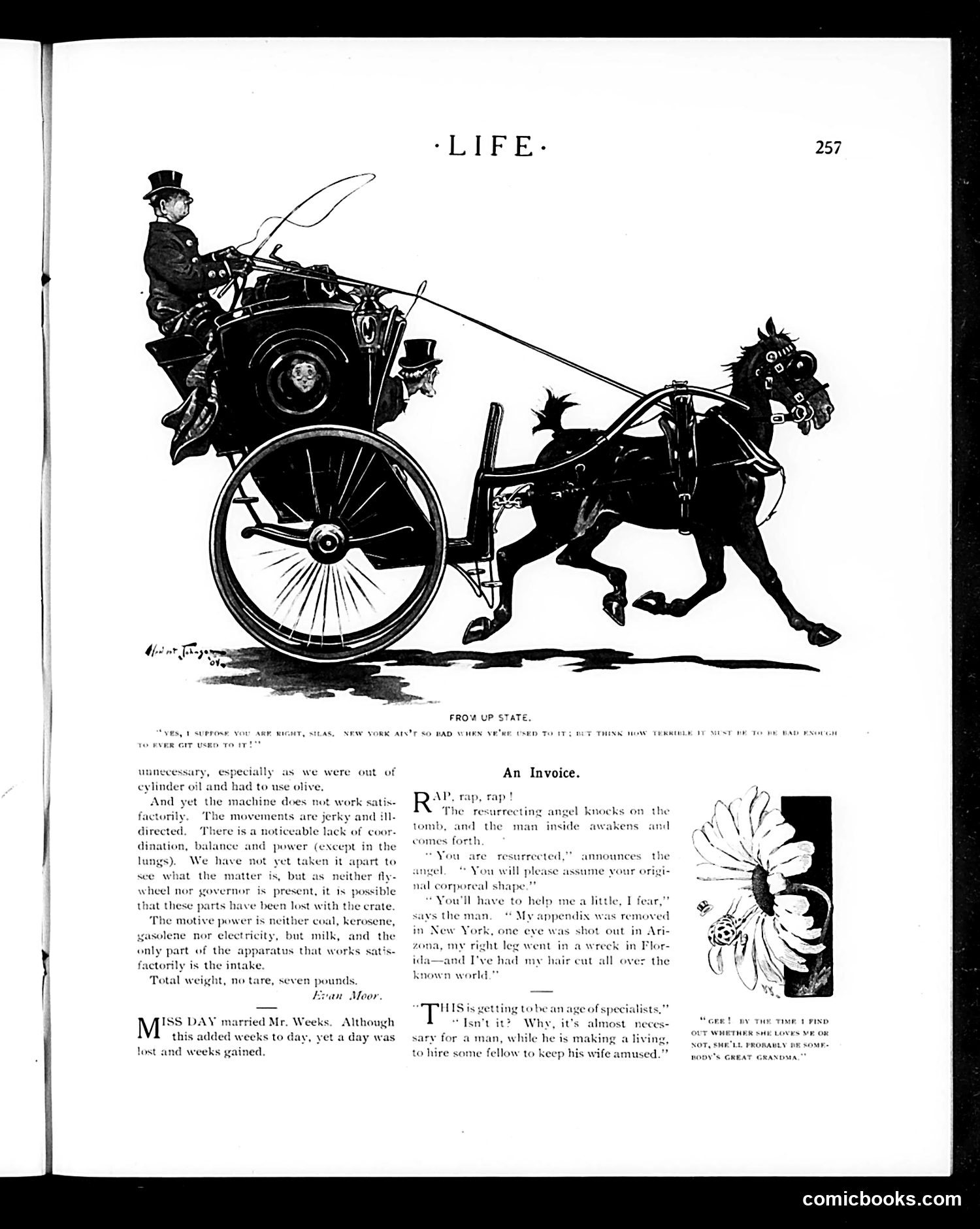 Life — March 2, 1905 — page 29 of 44