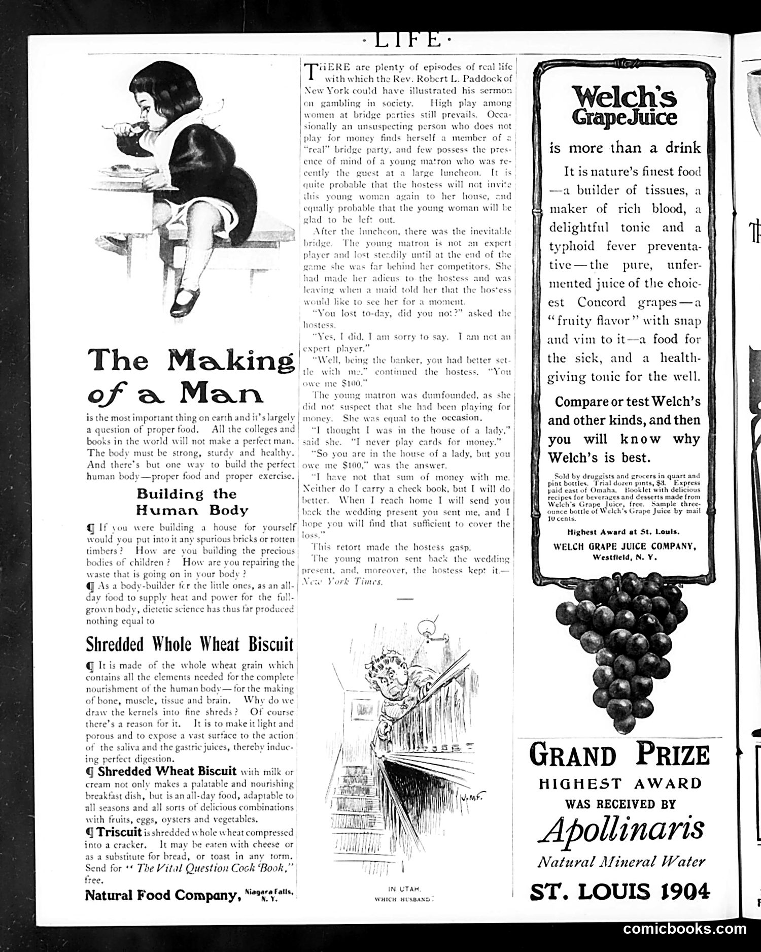 Life — April 6, 1905 — page 16 of 62