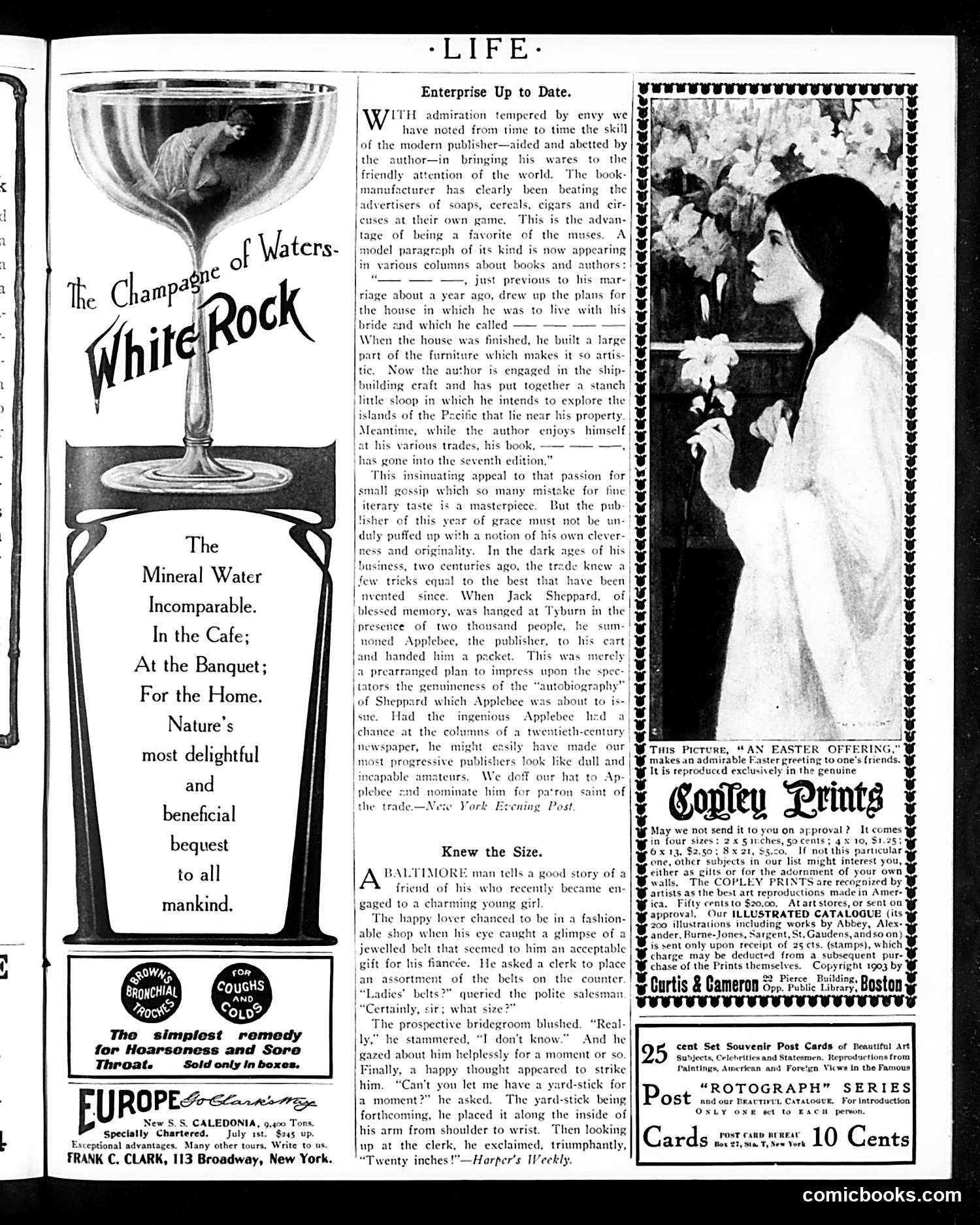 Life — April 6, 1905 — page 17 of 62