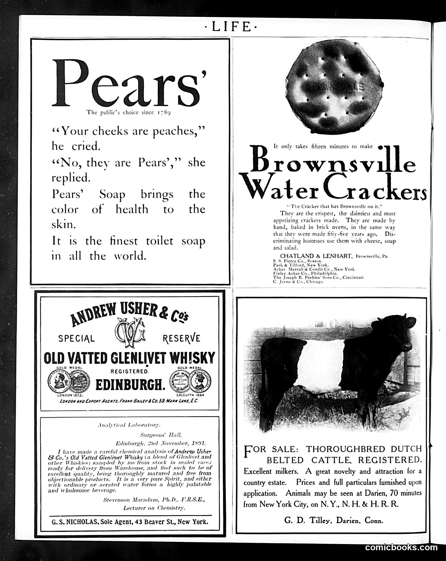 Life — April 6, 1905 — page 20 of 62
