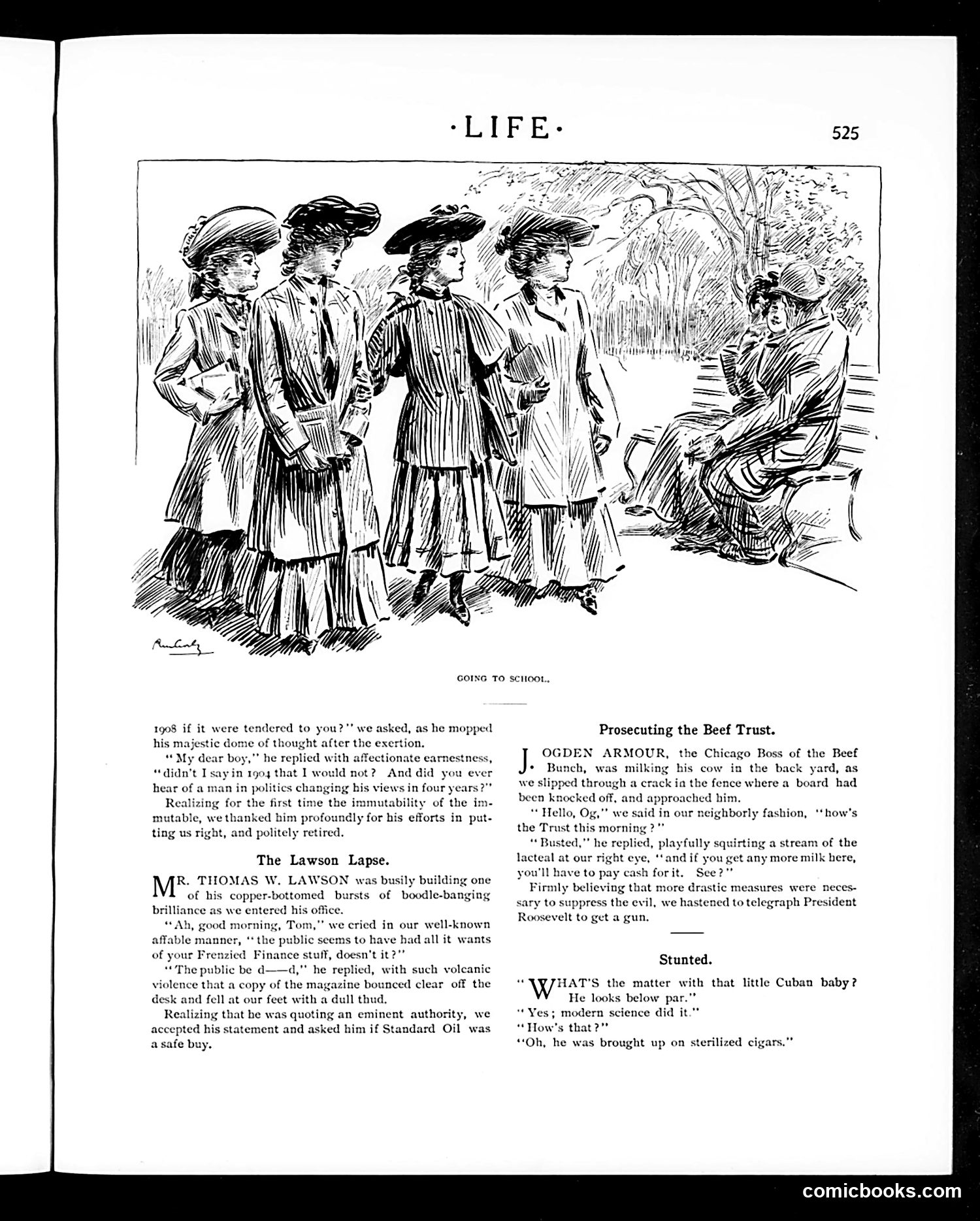 Life — May 4, 1905 — page 31 of 48