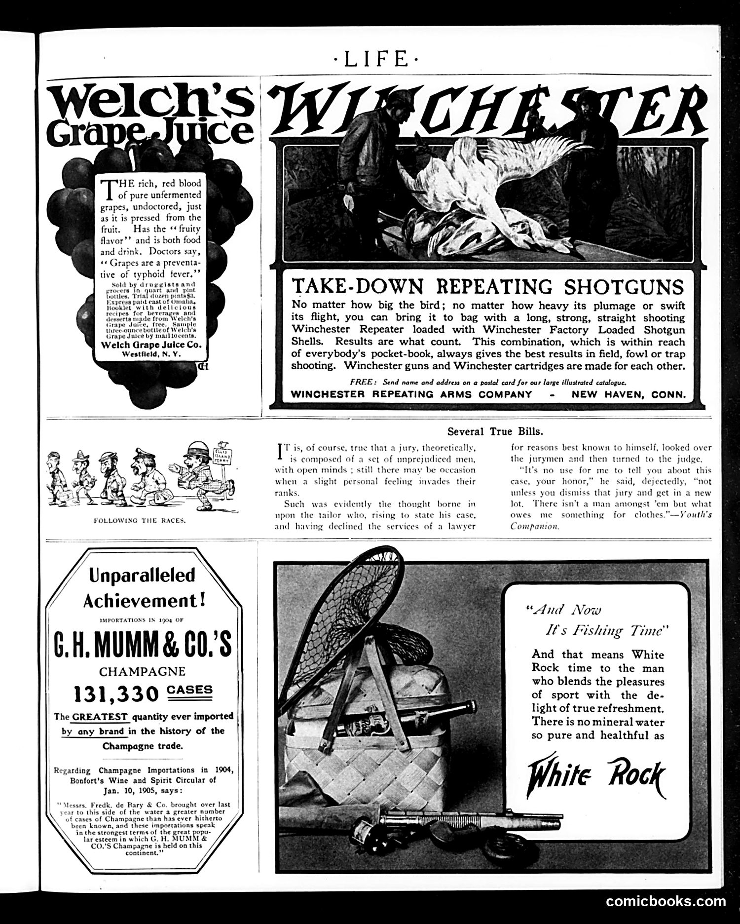 Life — May 4, 1905 — page 41 of 48