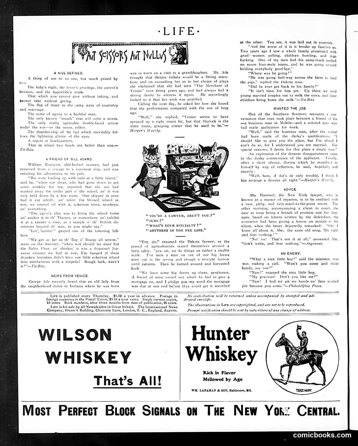 Life — May 11, 1905 — page 20 of 26