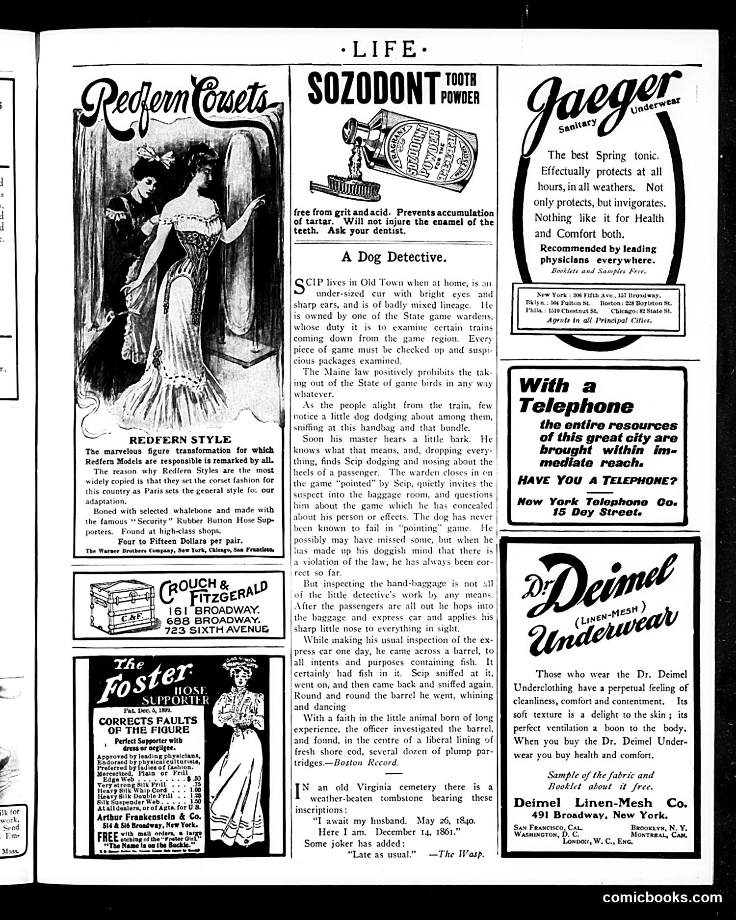 Life — May 18, 1905 — page 7 of 32