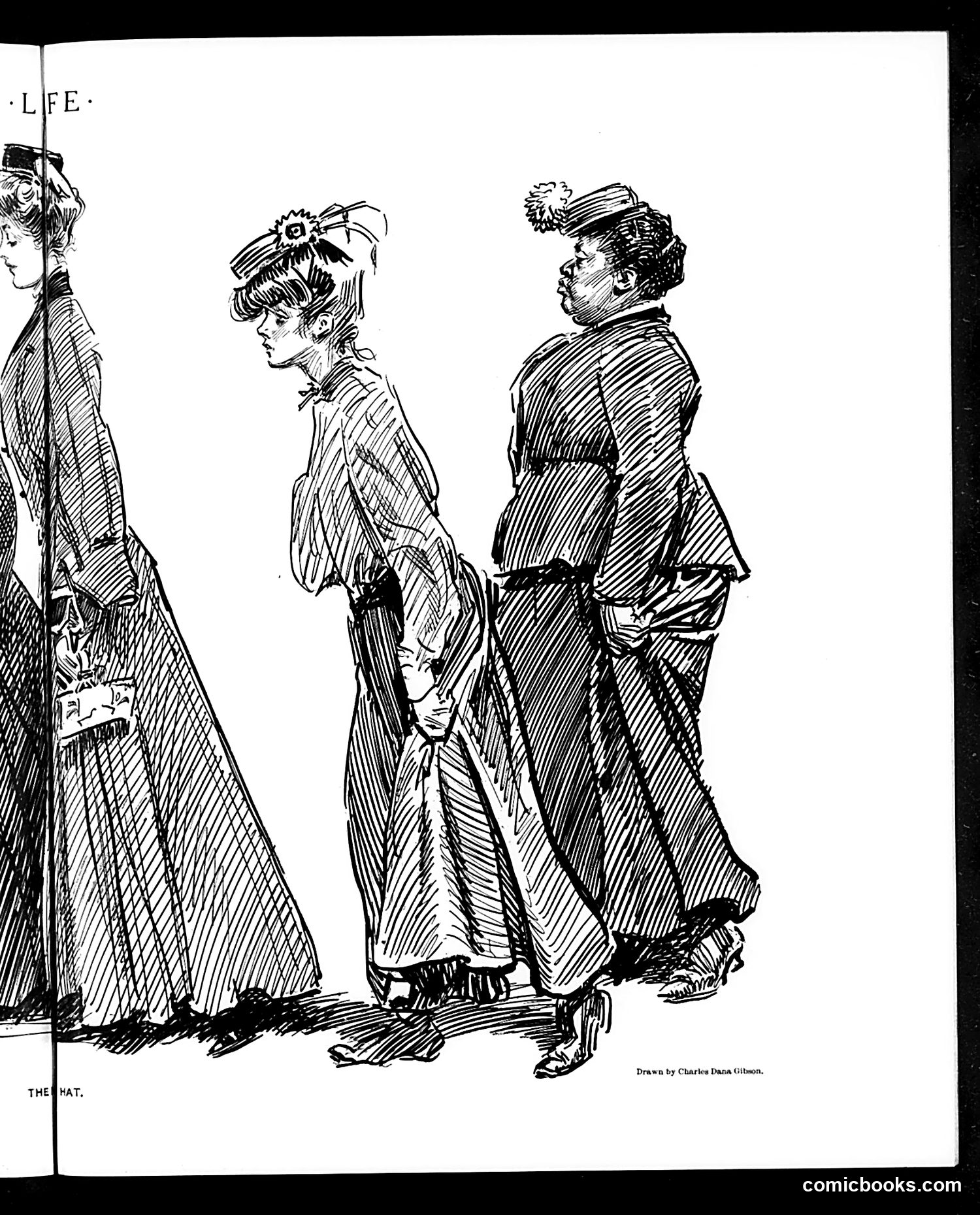 Life — May 18, 1905 — page 17 of 32