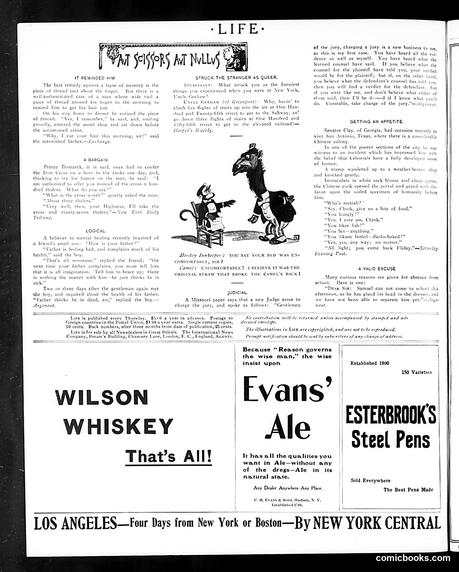 Life — May 18, 1905 — page 24 of 32