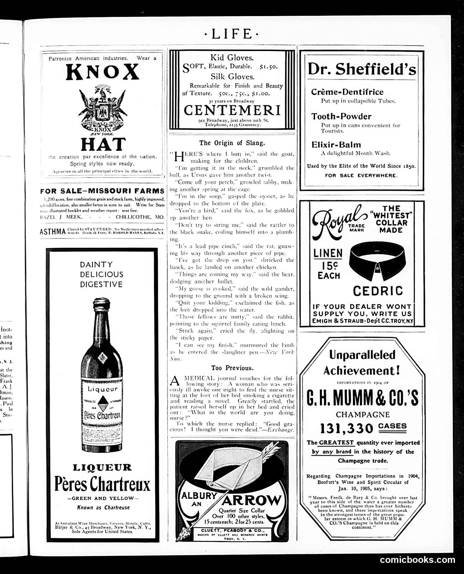 Life — May 18, 1905 — page 29 of 32