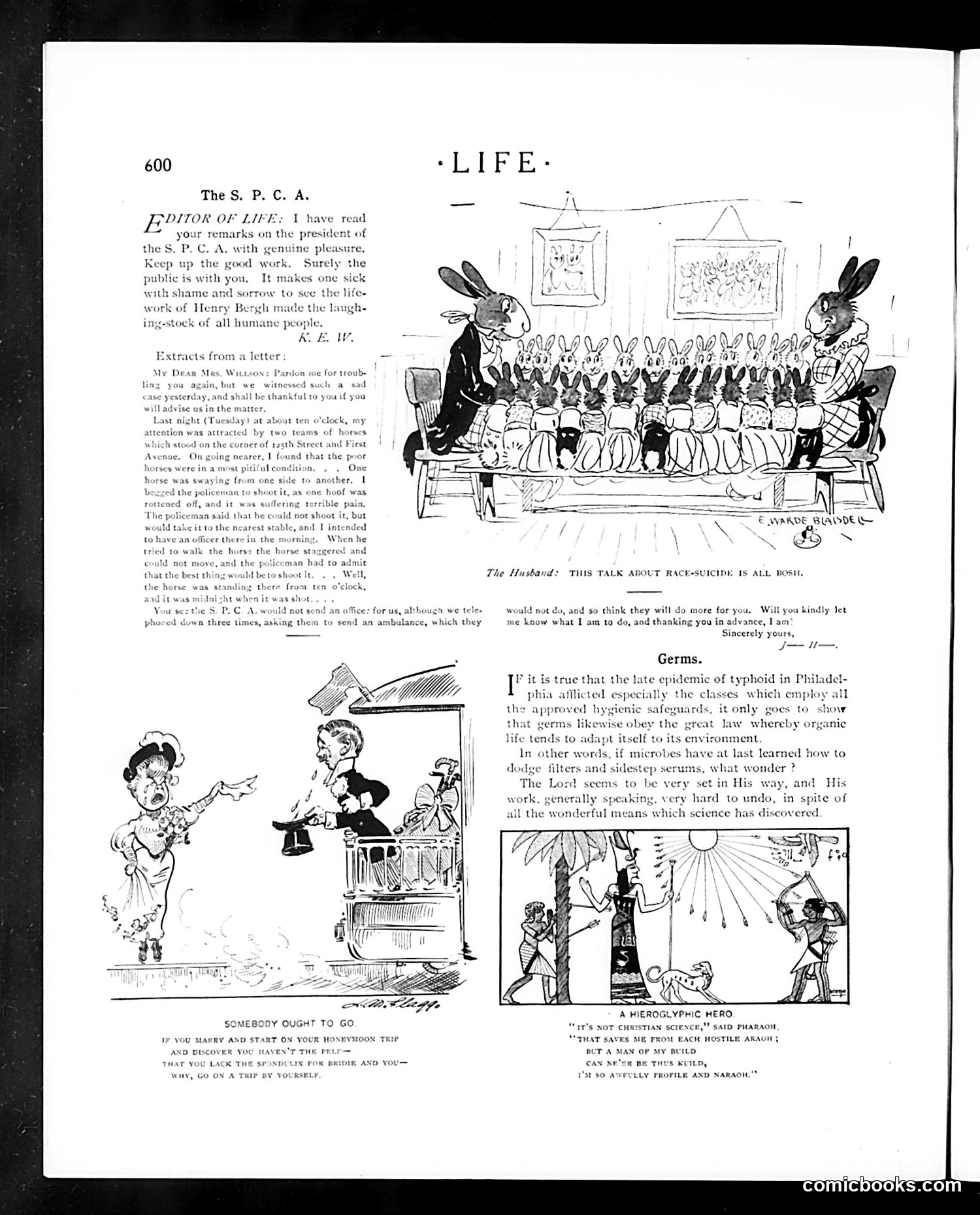 Life — May 25, 1905 — page 8 of 26