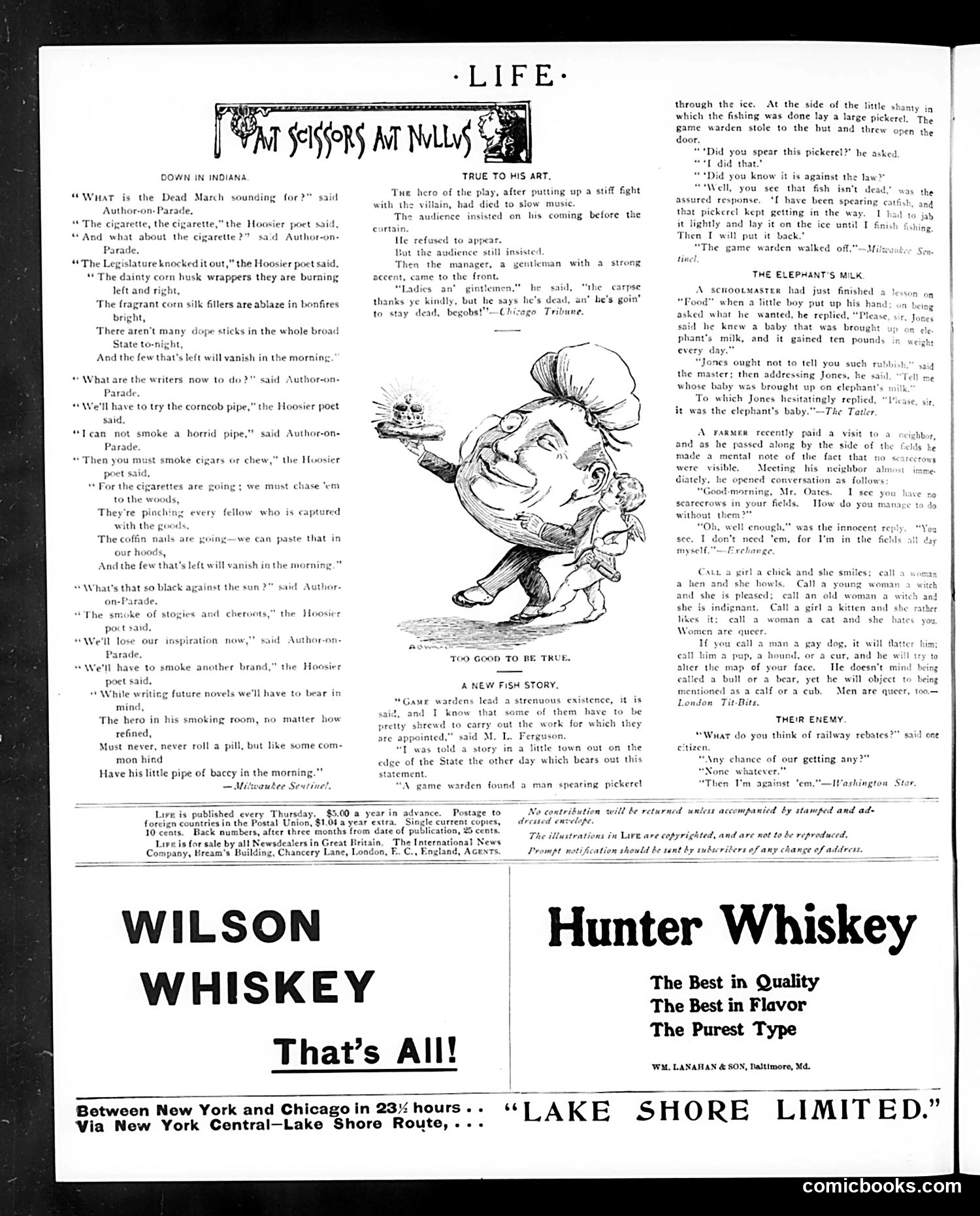 Life — May 25, 1905 — page 20 of 26