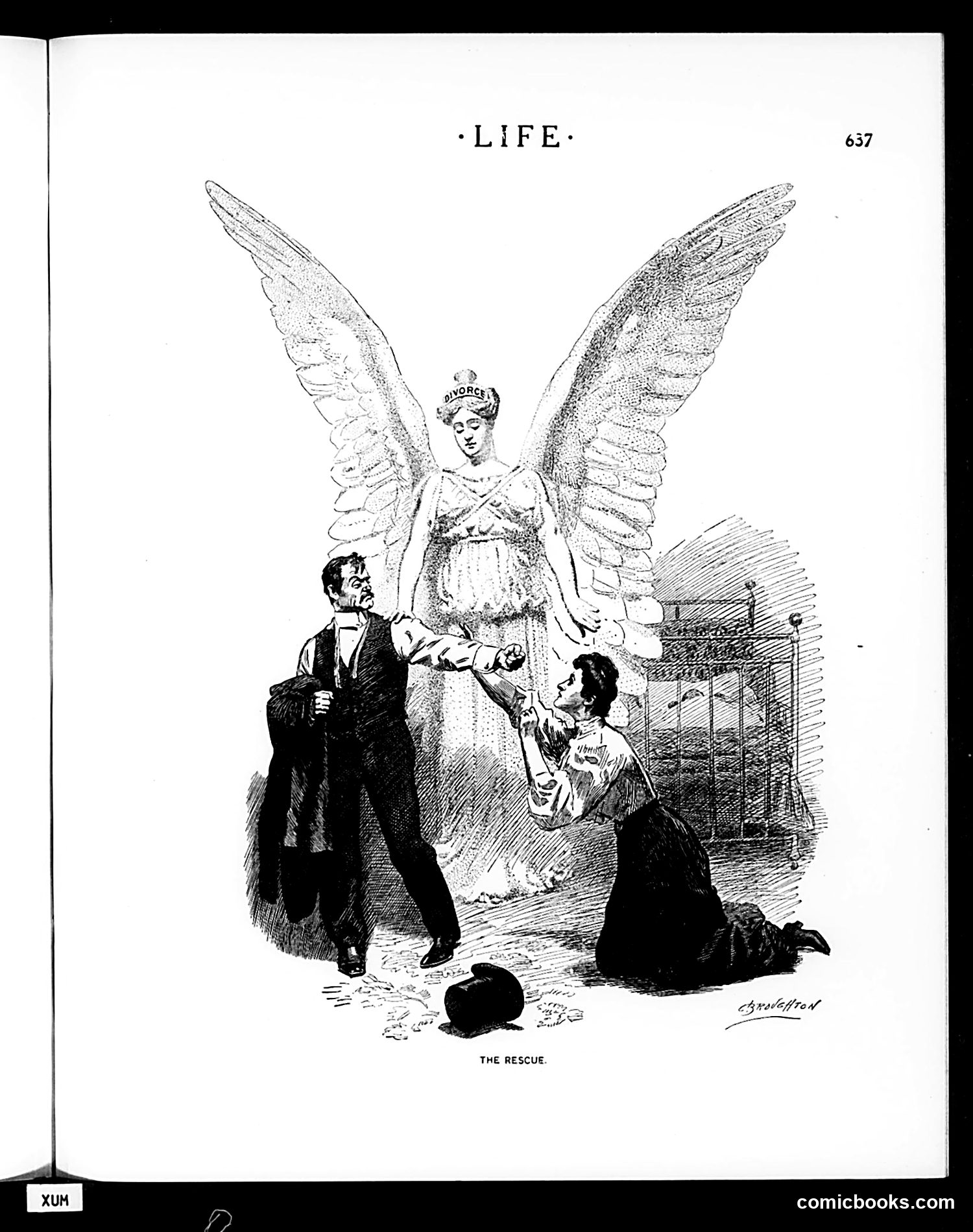 Life — June 1, 1905 — page 21 of 52