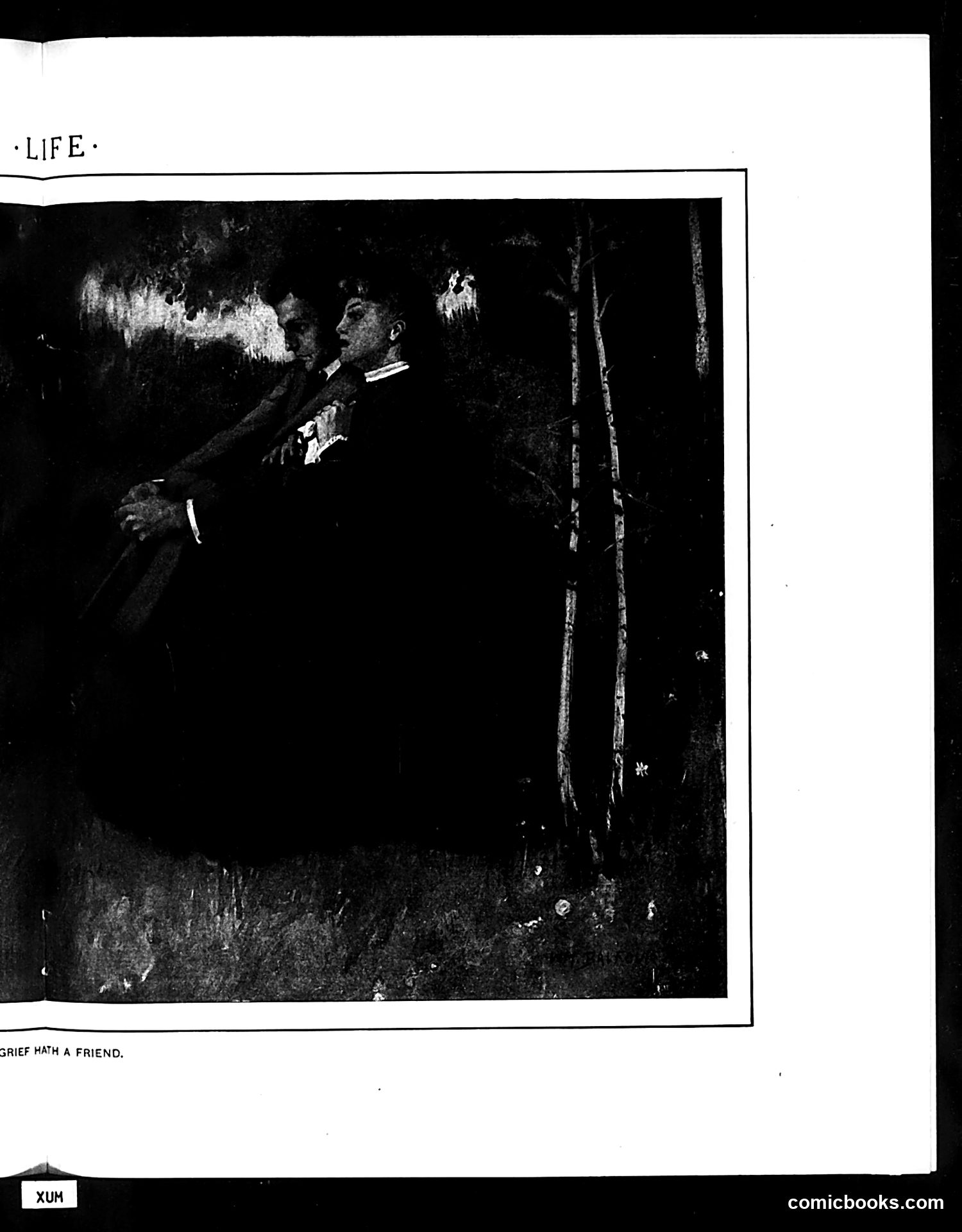 Life — June 1, 1905 — page 27 of 52