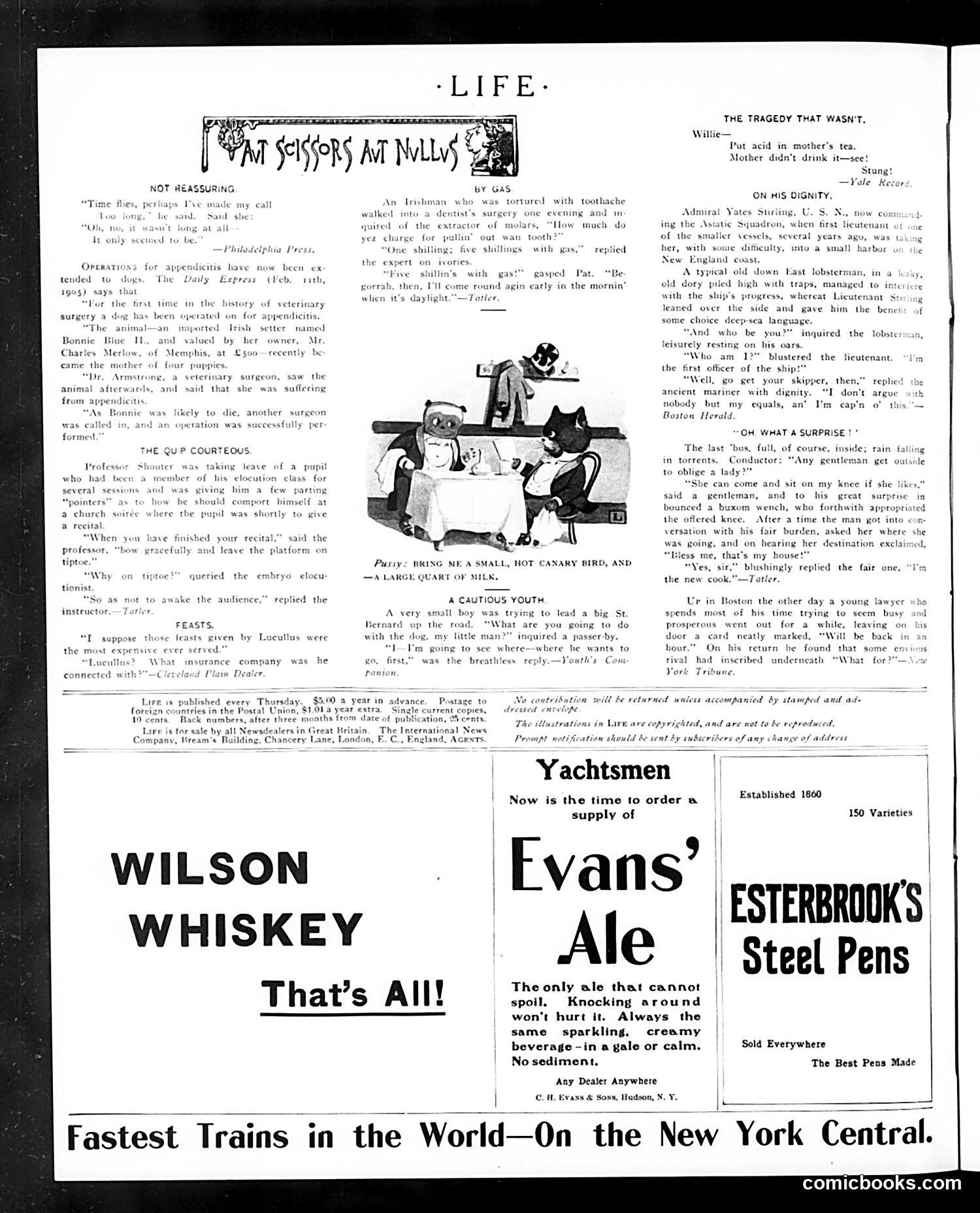 Life — June 1, 1905 — page 36 of 52