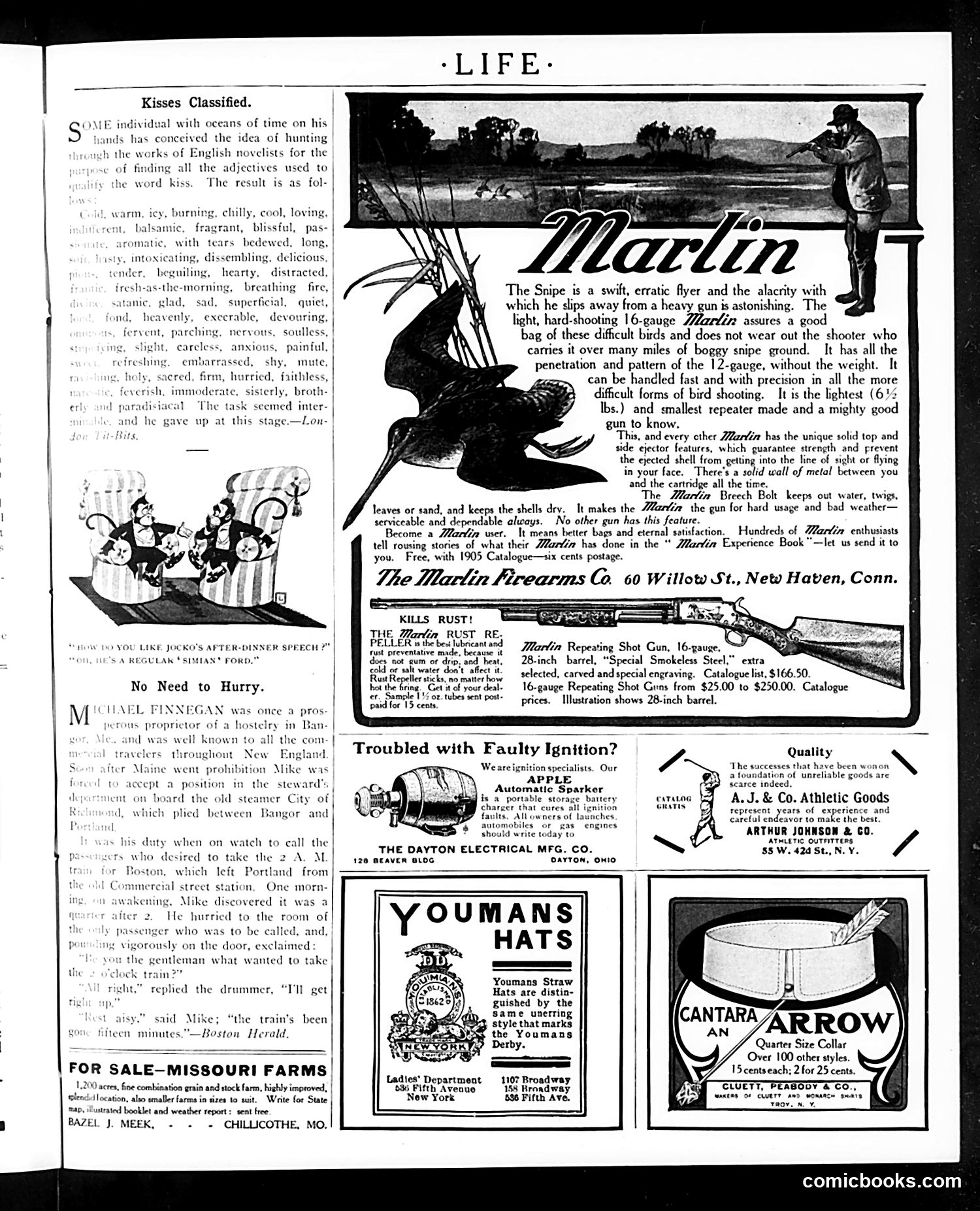 Life — June 1, 1905 — page 41 of 52
