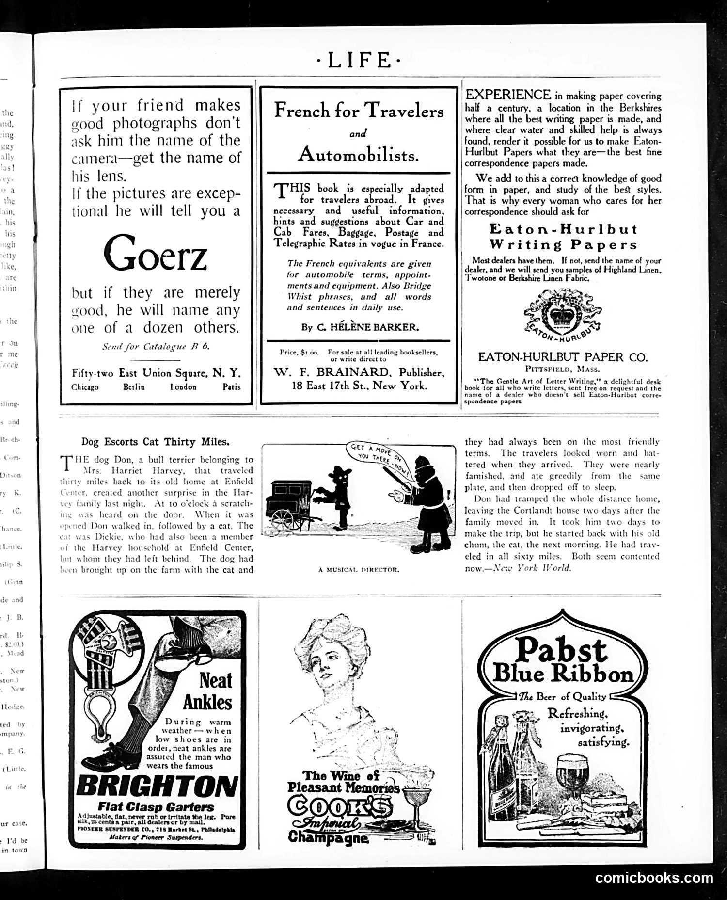 Life — June 1, 1905 — page 49 of 52