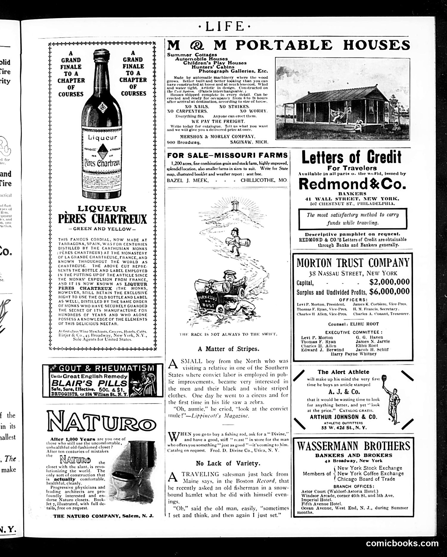 Life — June 8, 1905 — page 3 of 26