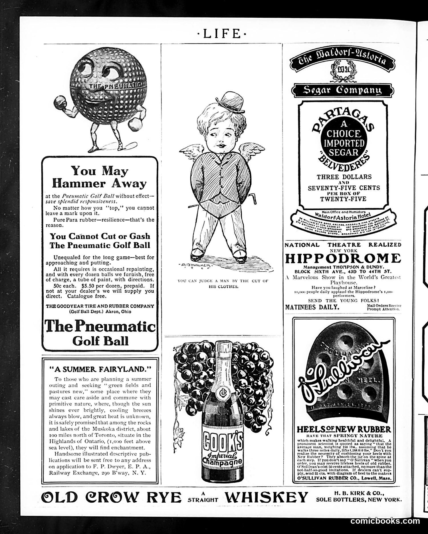 Life — June 15, 1905 — page 28 of 32