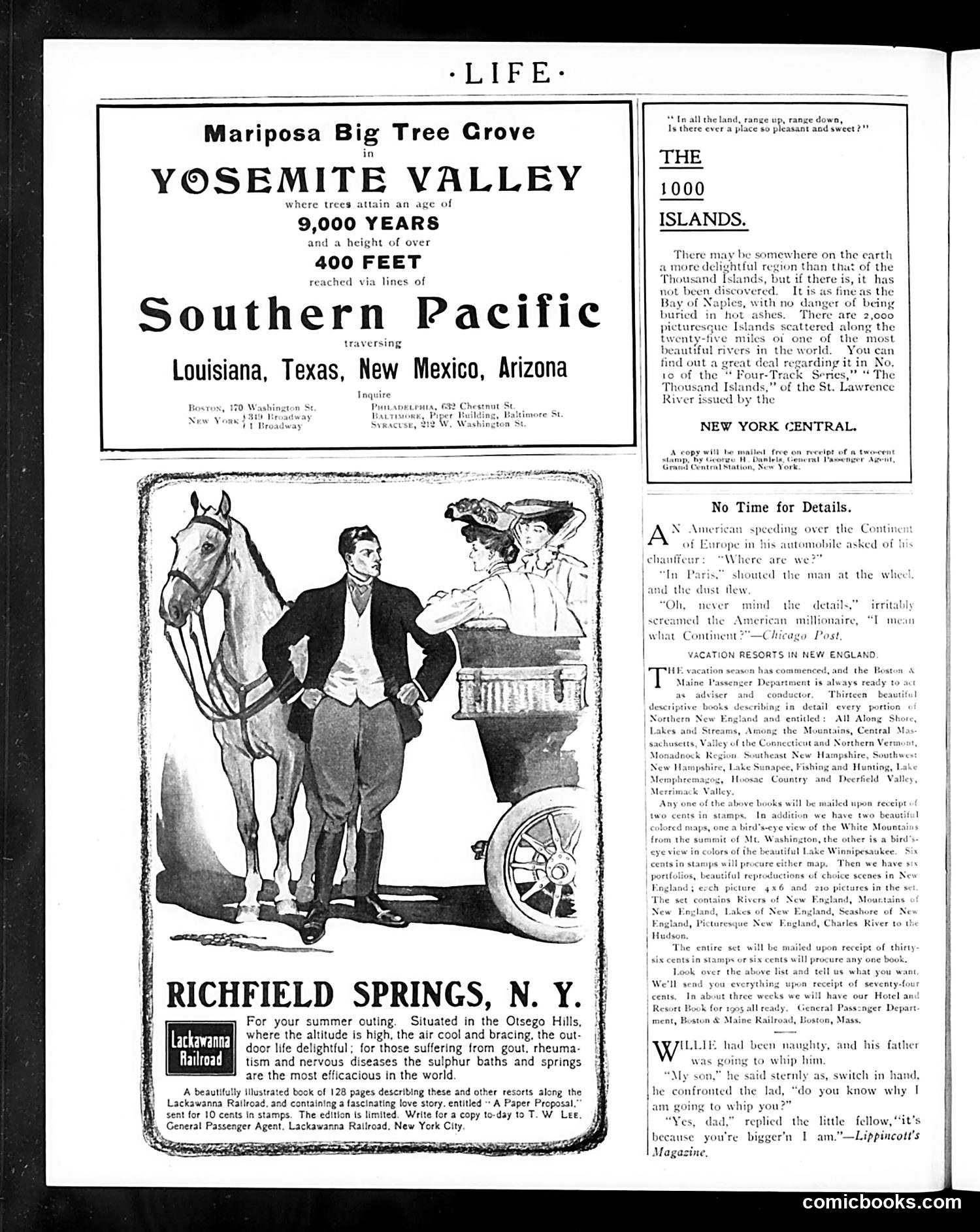 Life — June 29, 1905 — page 24 of 29