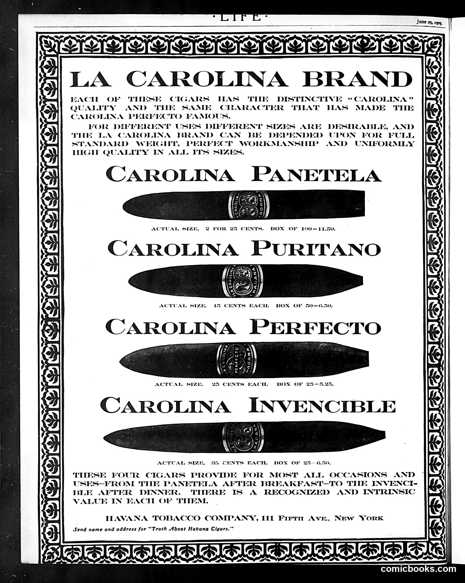 Life — June 29, 1905 — page 28 of 29