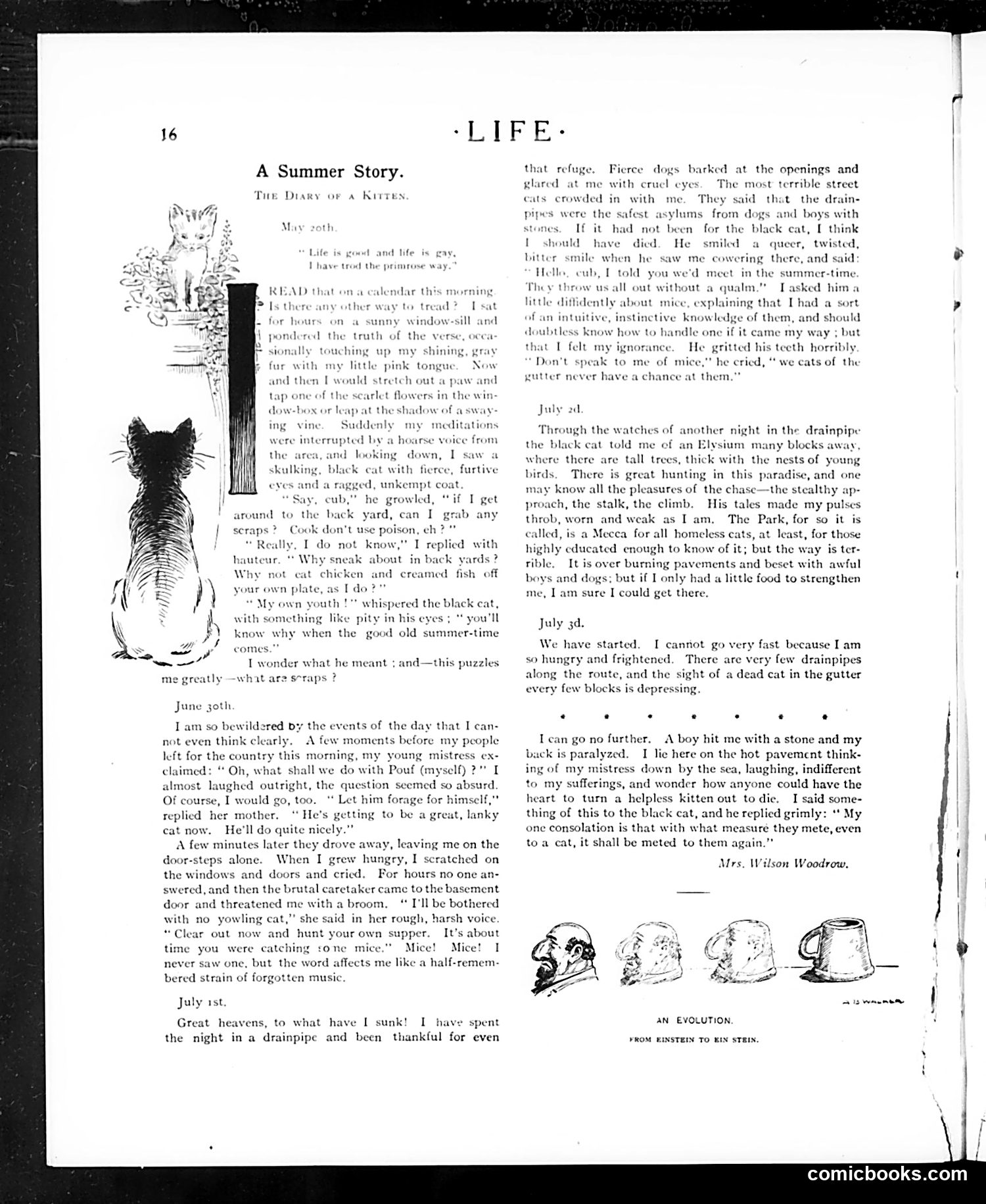 Life — July 6, 1905 — page 16 of 44
