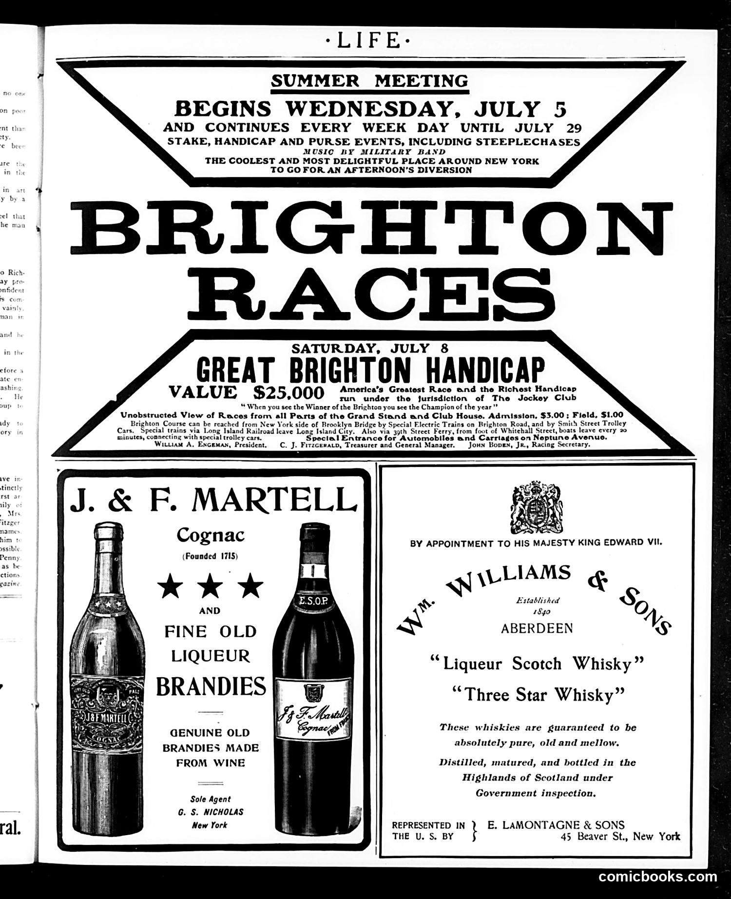 Life — July 6, 1905 — page 29 of 44